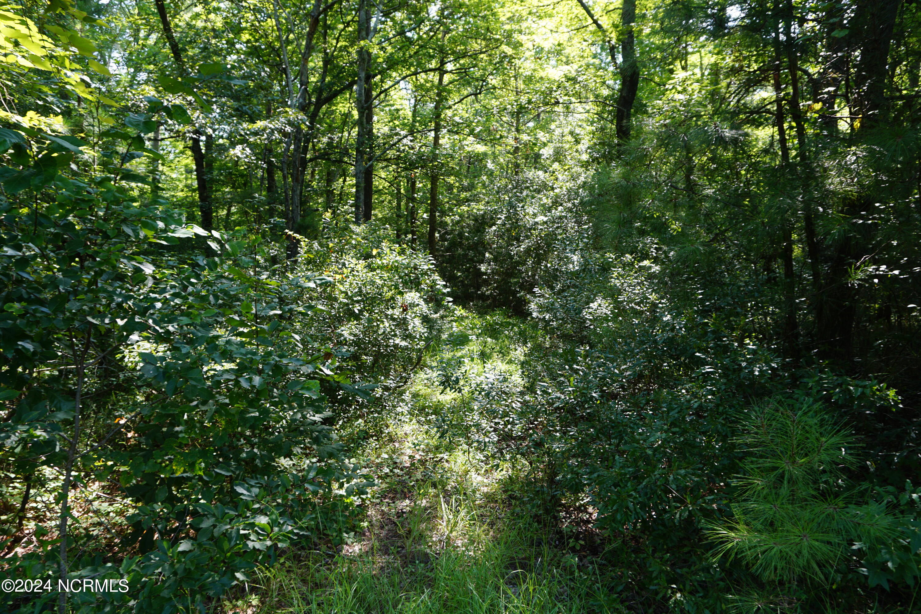 296 Sandy Point Drive Property Photo 10