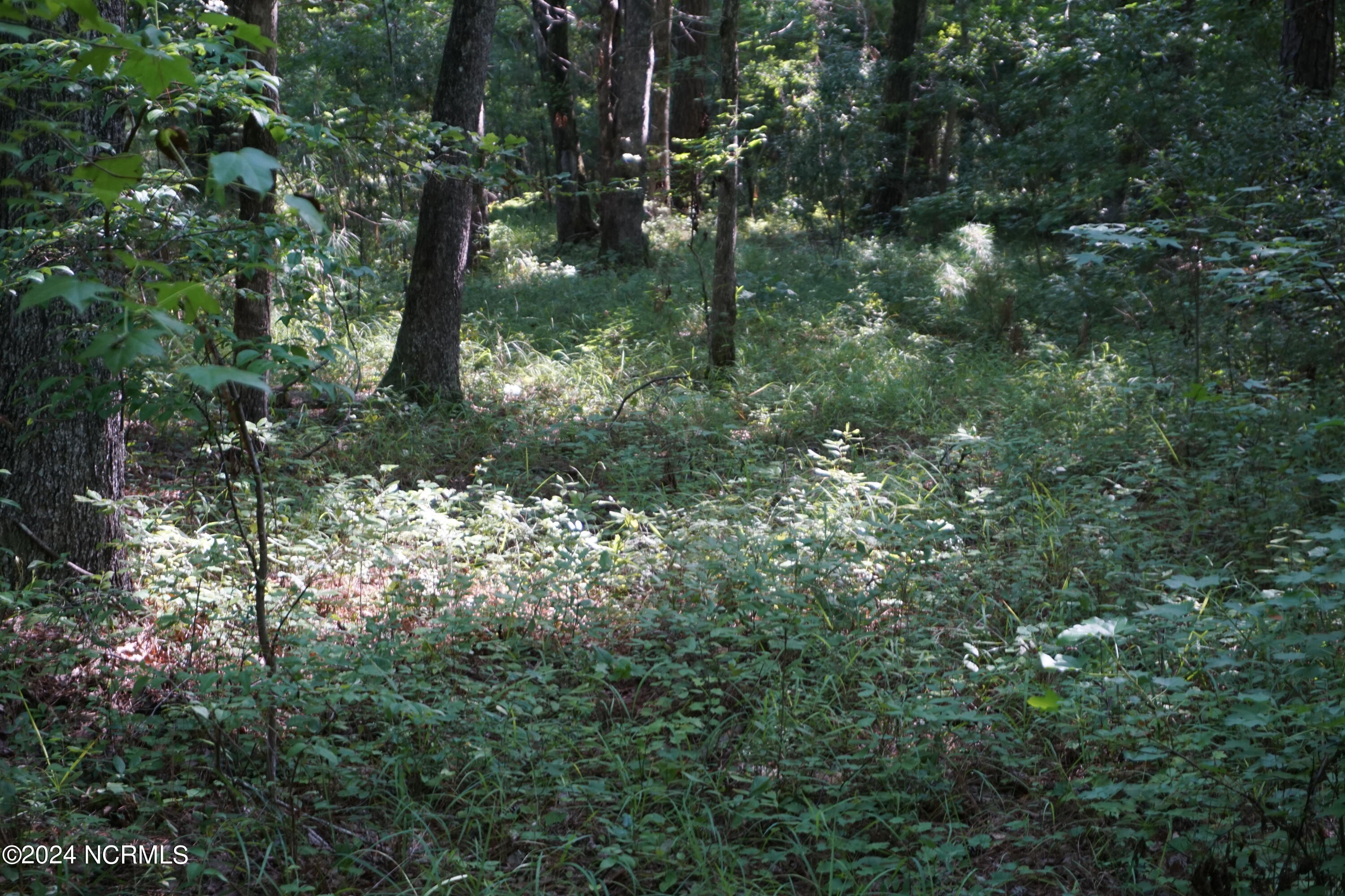 296 Sandy Point Drive Property Photo 11
