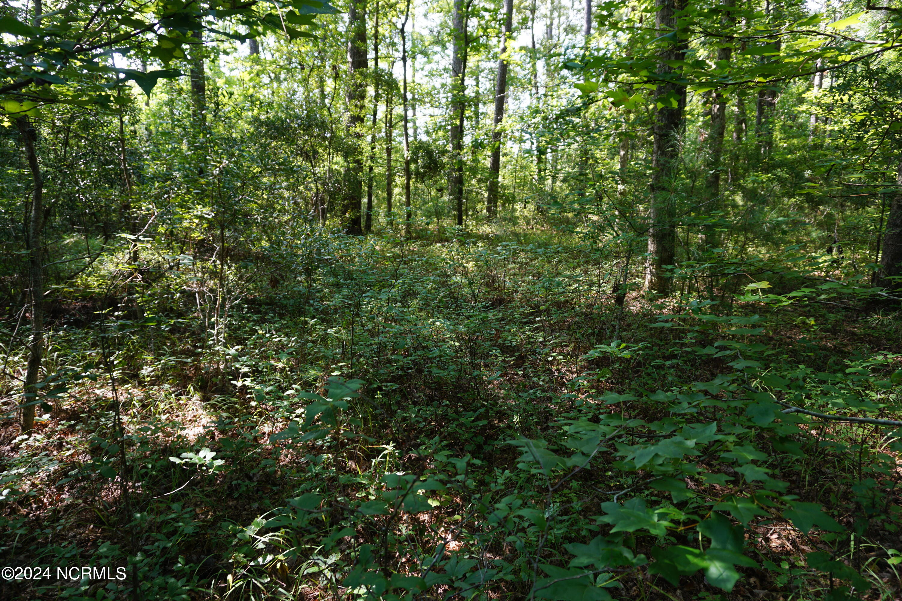 296 Sandy Point Drive Property Photo 12