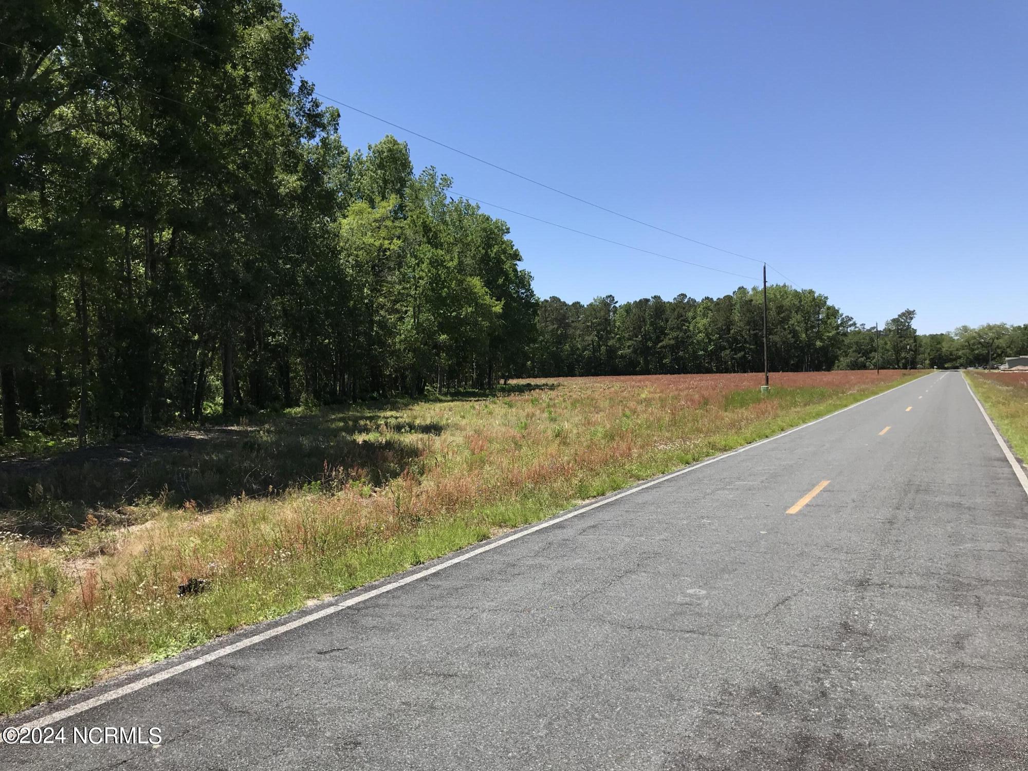 0 Little Prong Road Property Photo 2