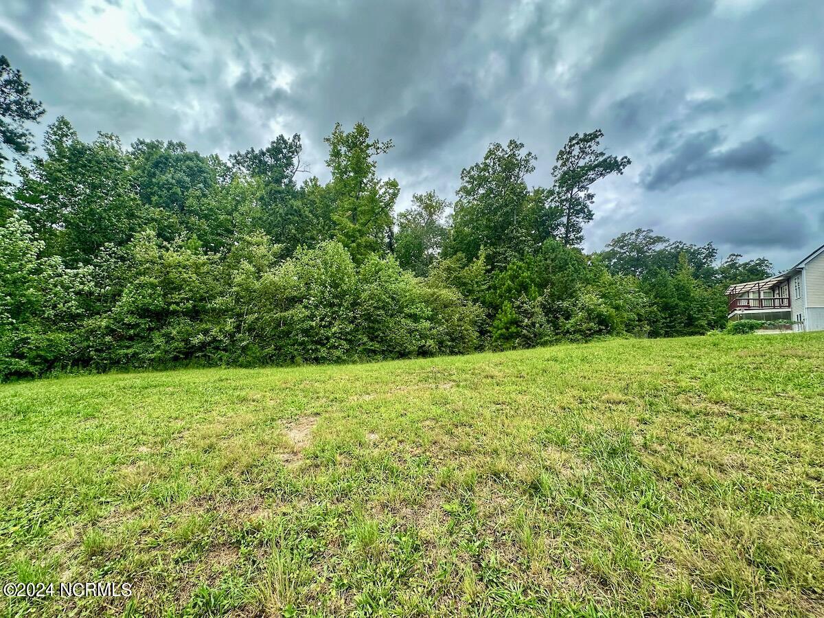 774 Rivers Edge Parkway Property Photo 25