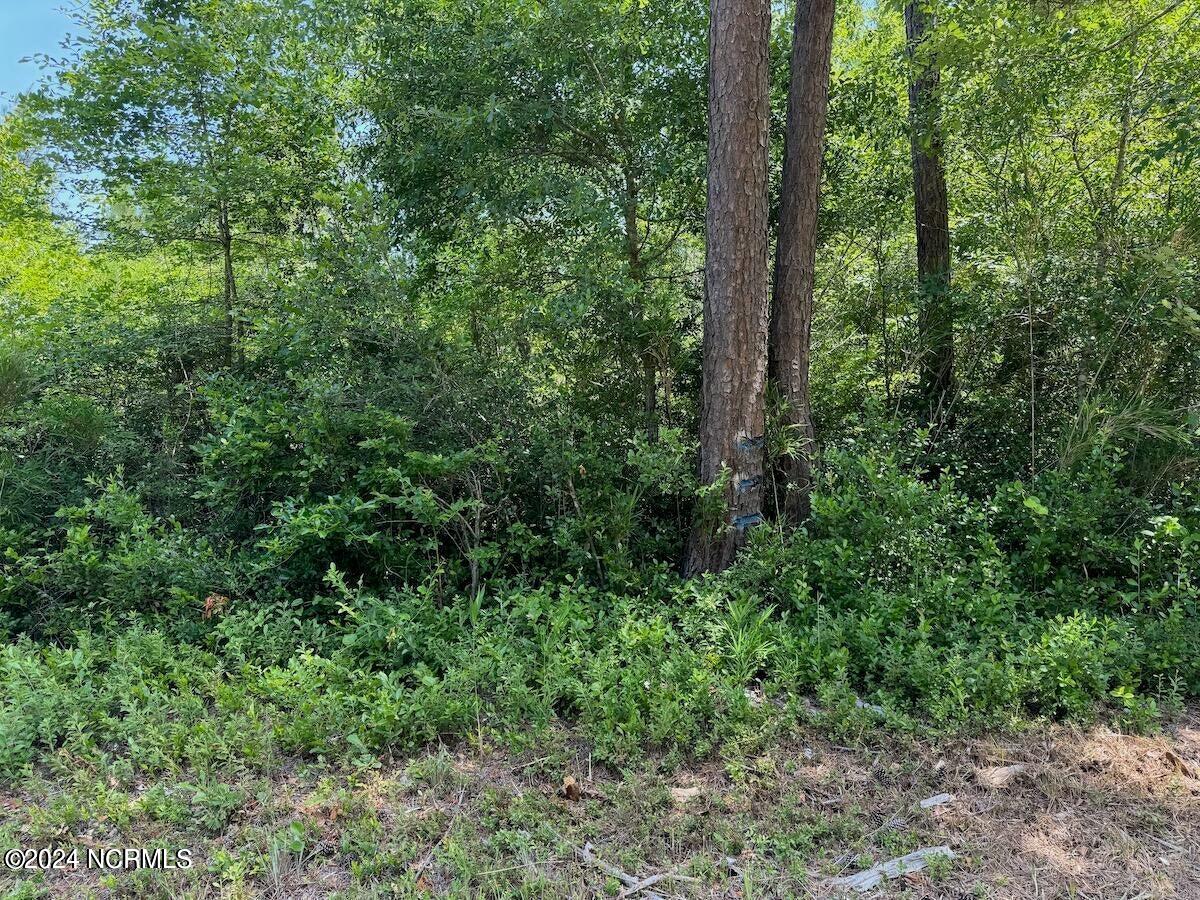00 Old Lake Road Property Photo 6