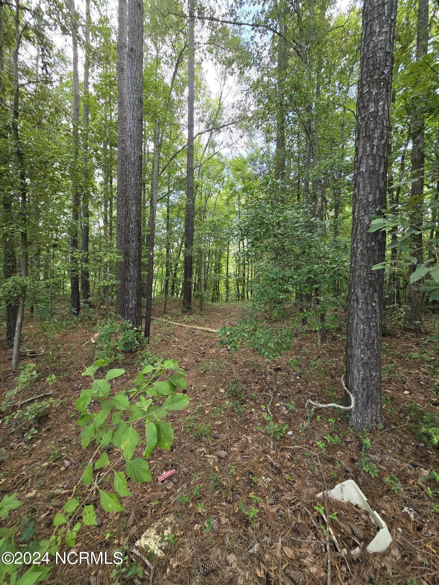 0 Mcnair Road Property Photo 13