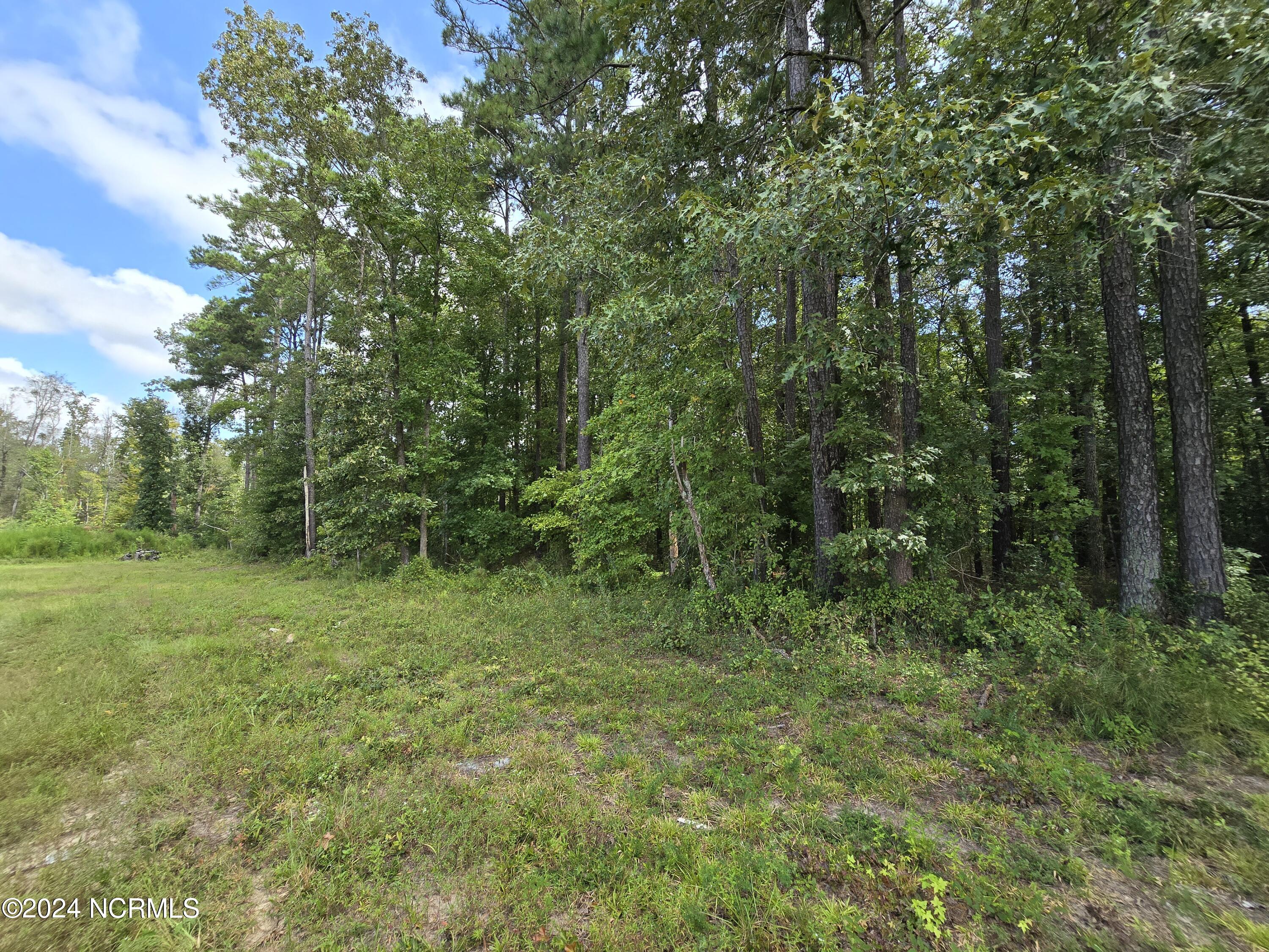 0 Mcnair Road Property Photo 15