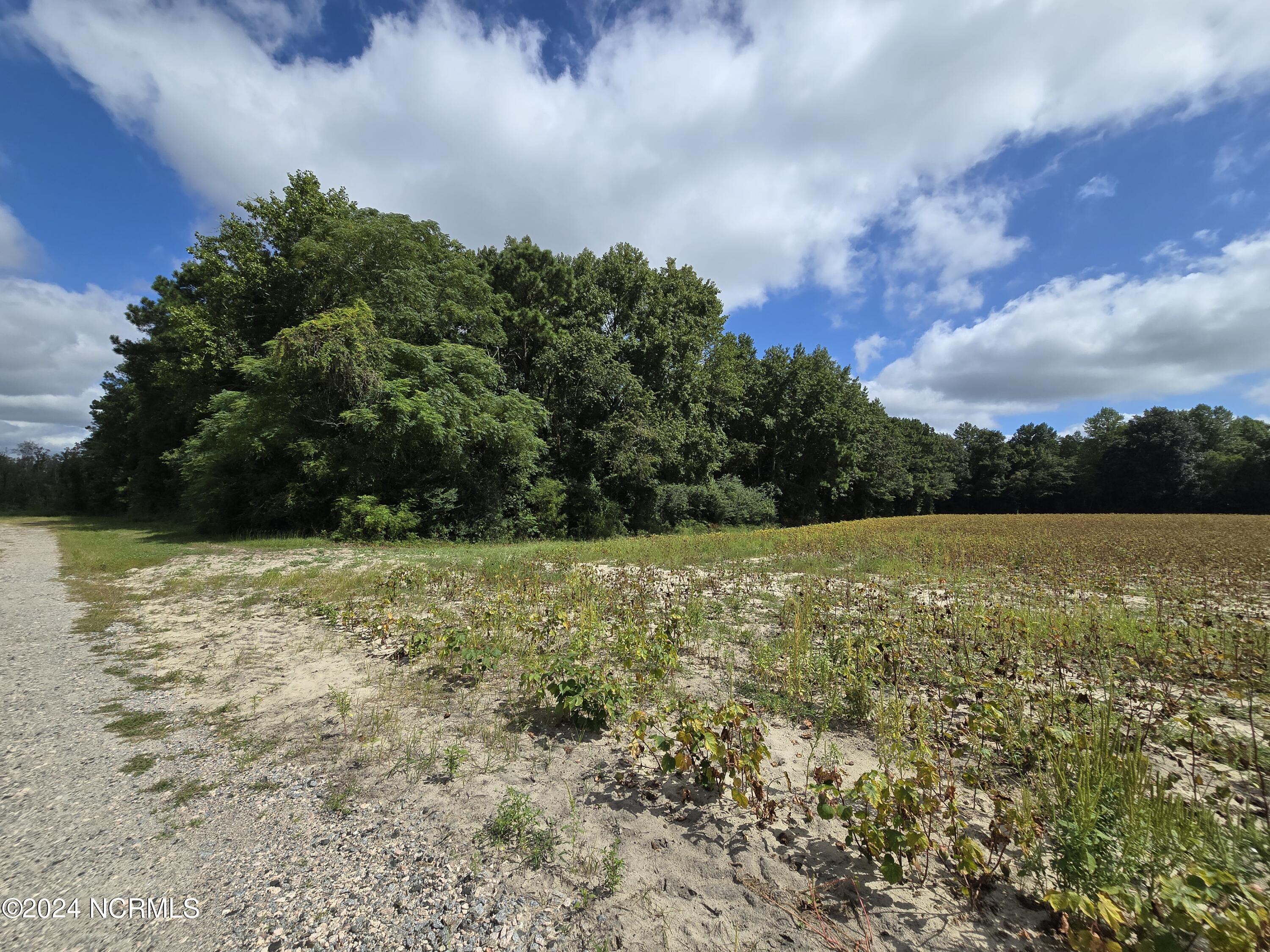 0 Mcnair Road Property Photo 16