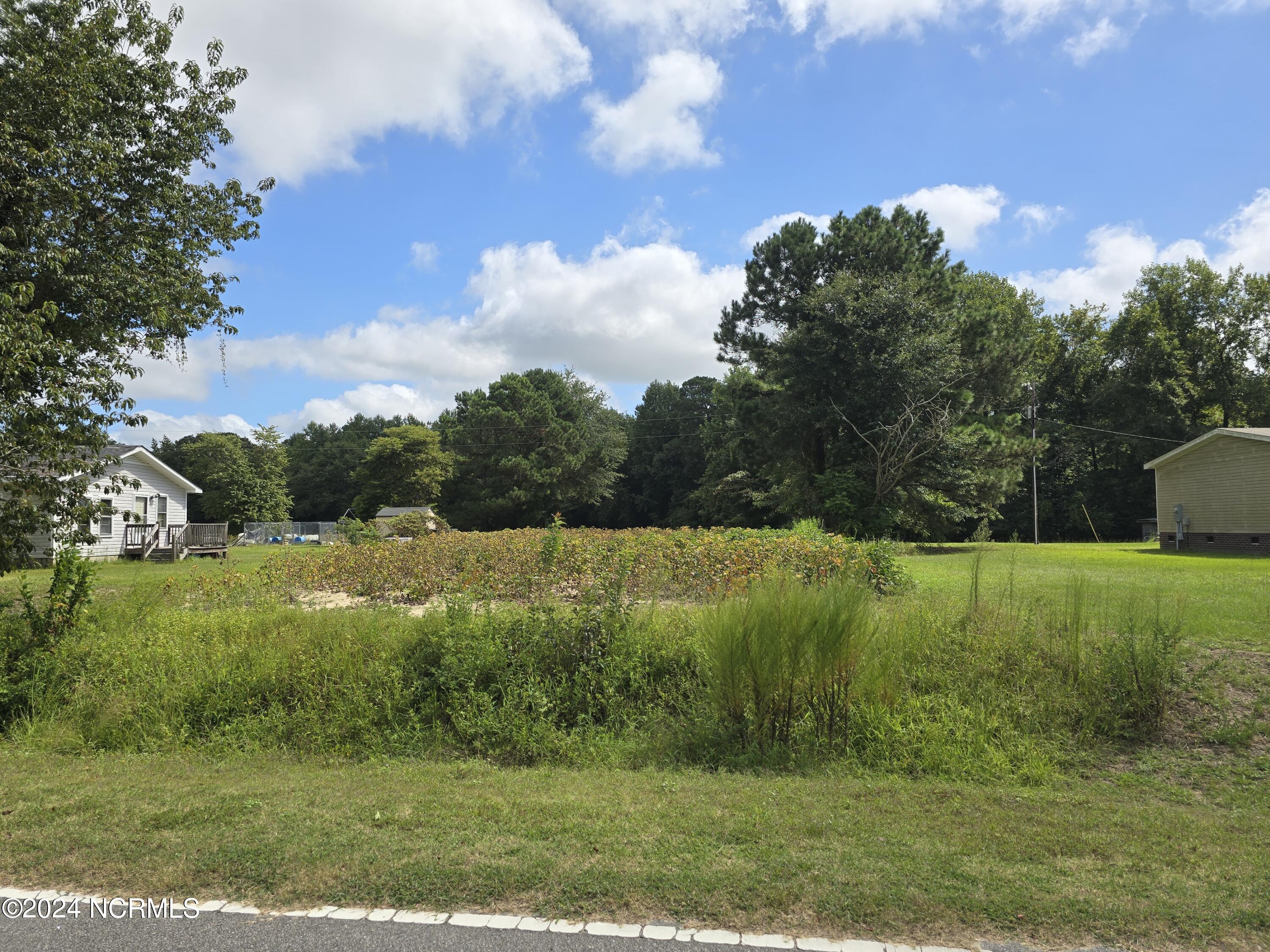 0 Mcnair Road Property Photo 17