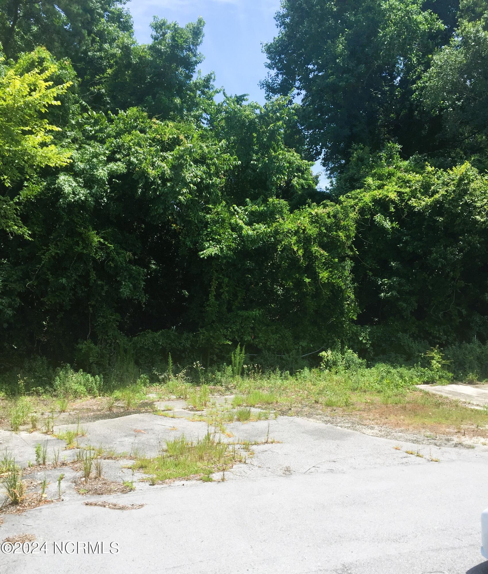 101 Riverview Street Property Photo 3