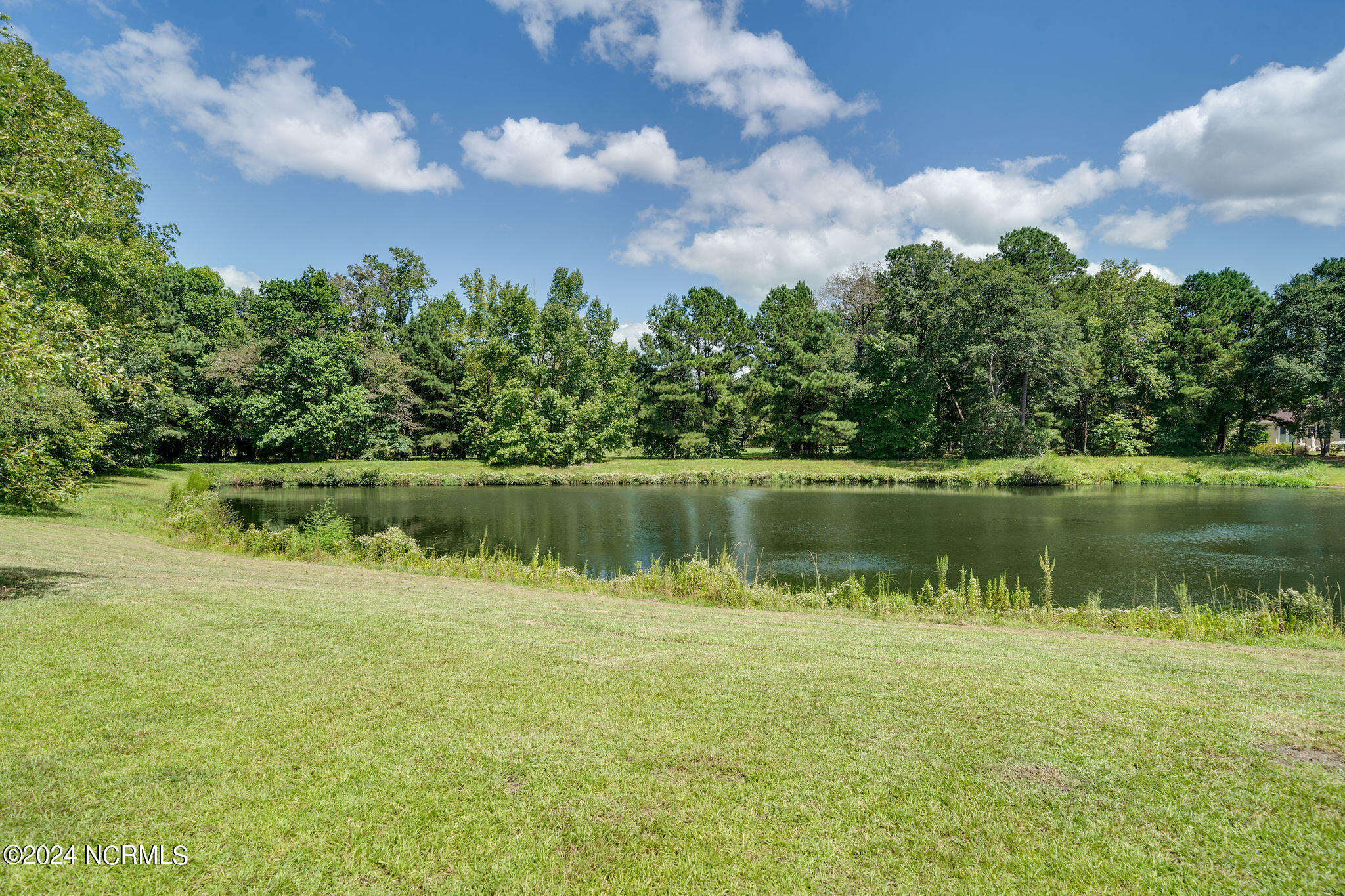 141 Sycamore Lakes Drive Property Photo 40