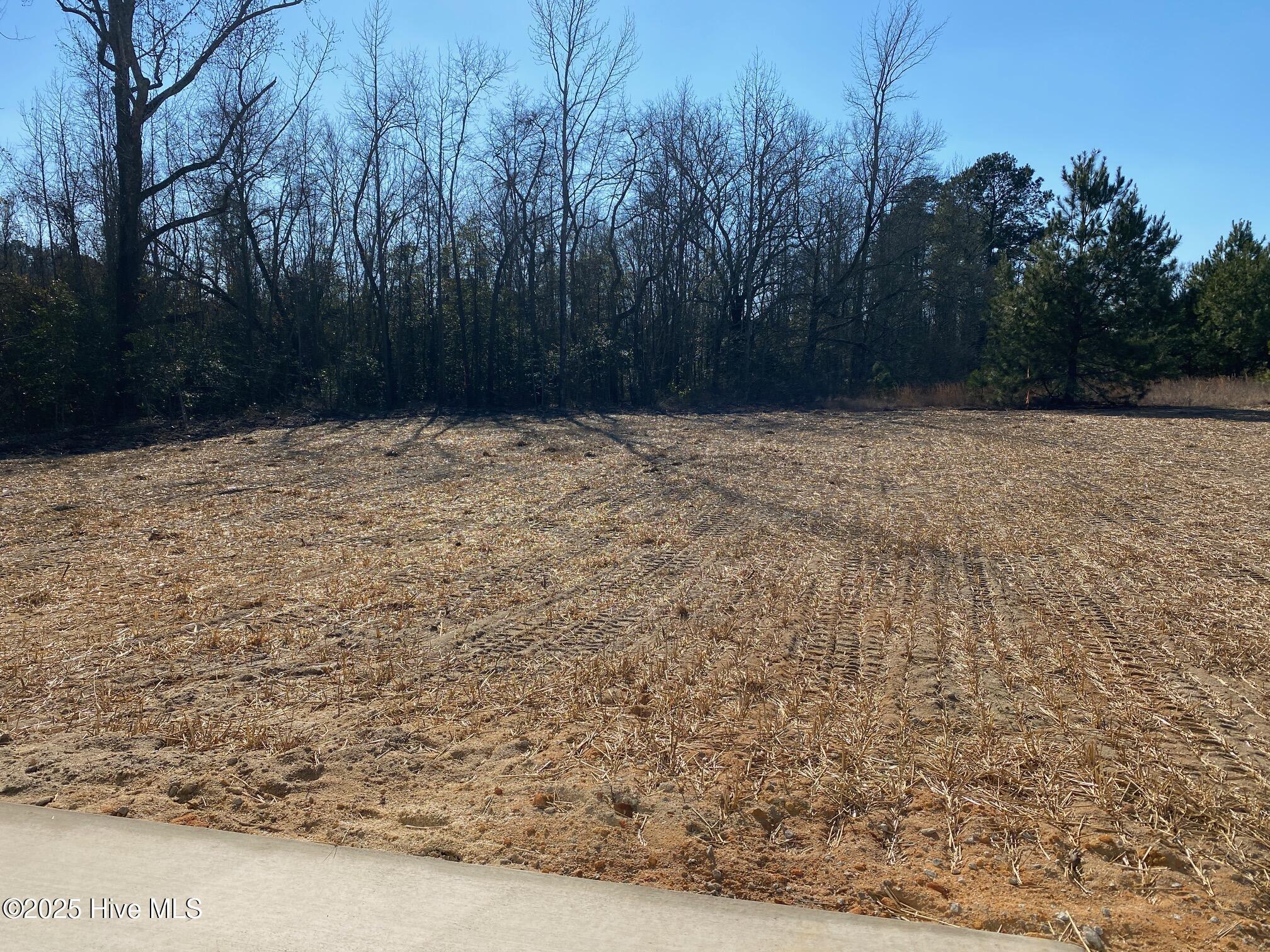 5010 Blue Springs Road Property Photo 7