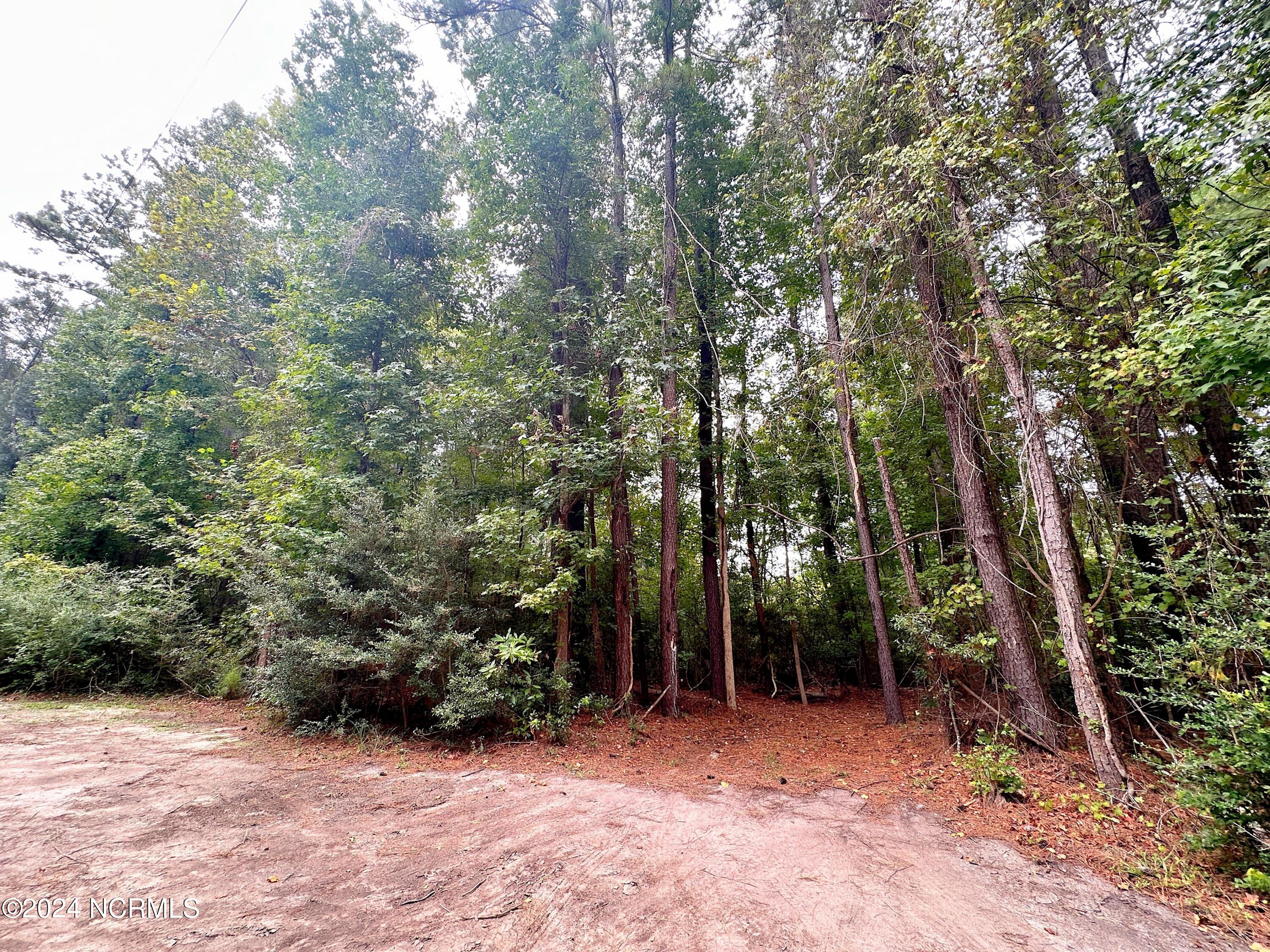635 Sea Hawk Drive Property Photo 2