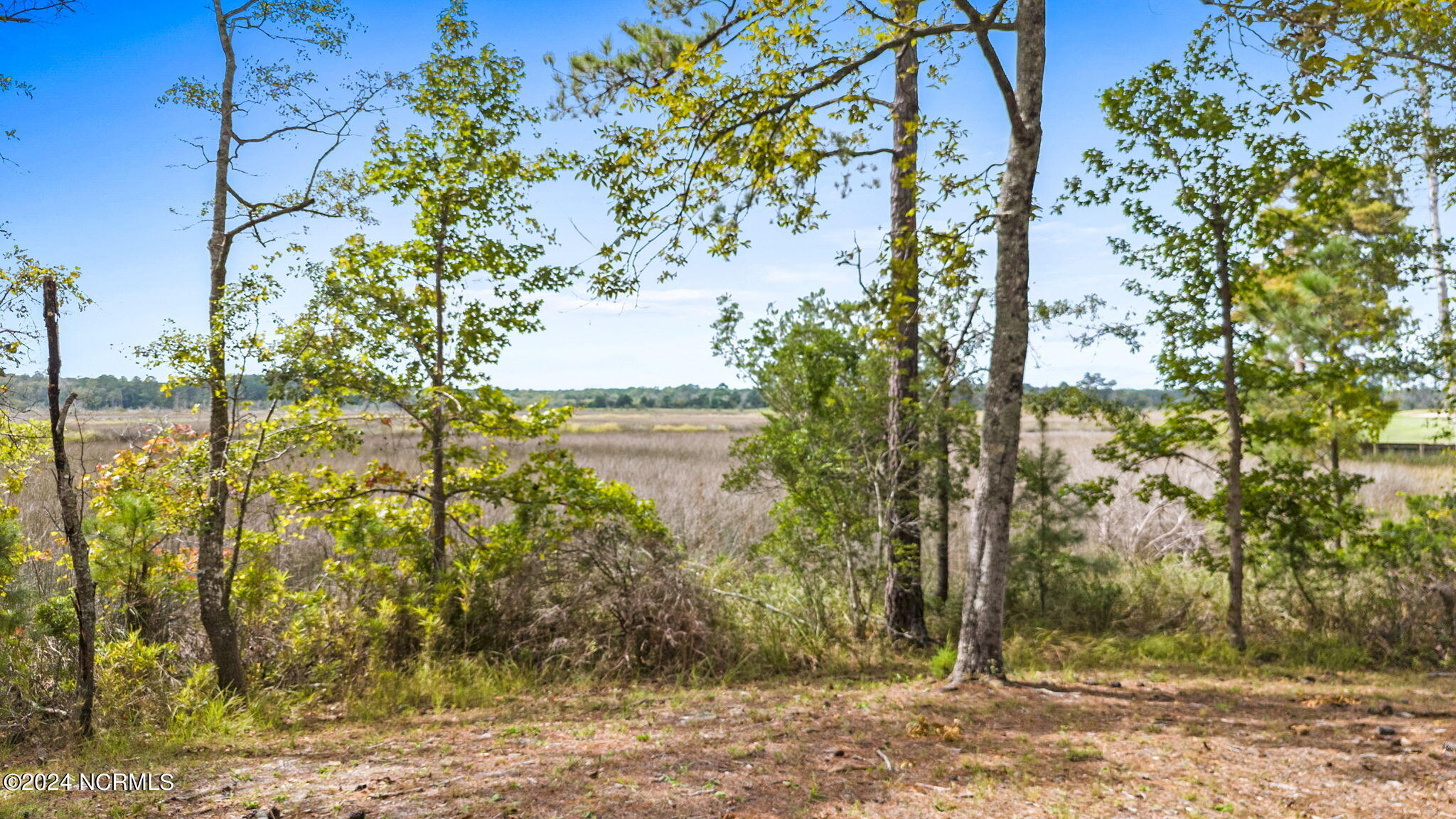 469 Deep Water Drive Property Photo 9