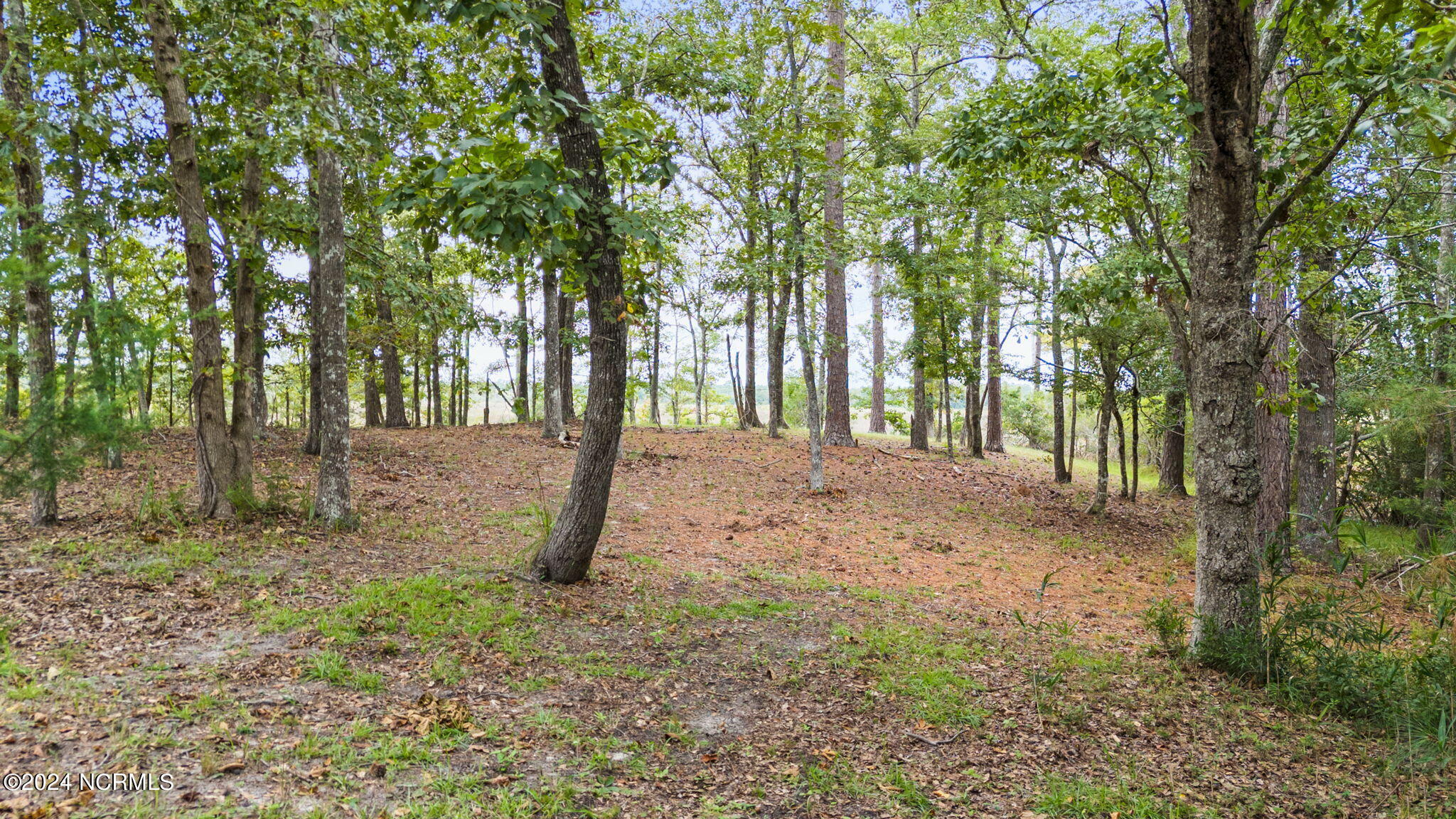 469 Deep Water Drive Property Photo 12