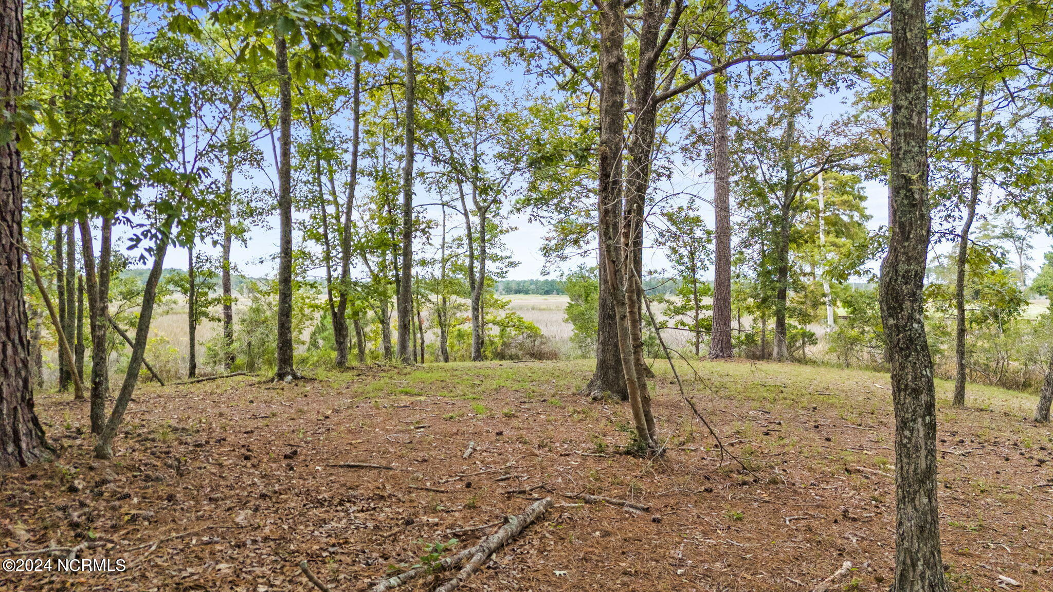 469 Deep Water Drive Property Photo 13