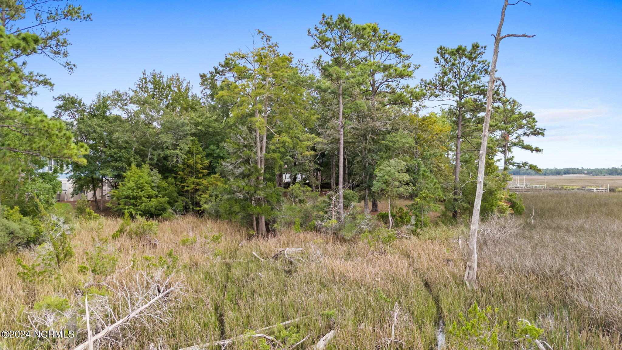 469 Deep Water Drive Property Photo 14