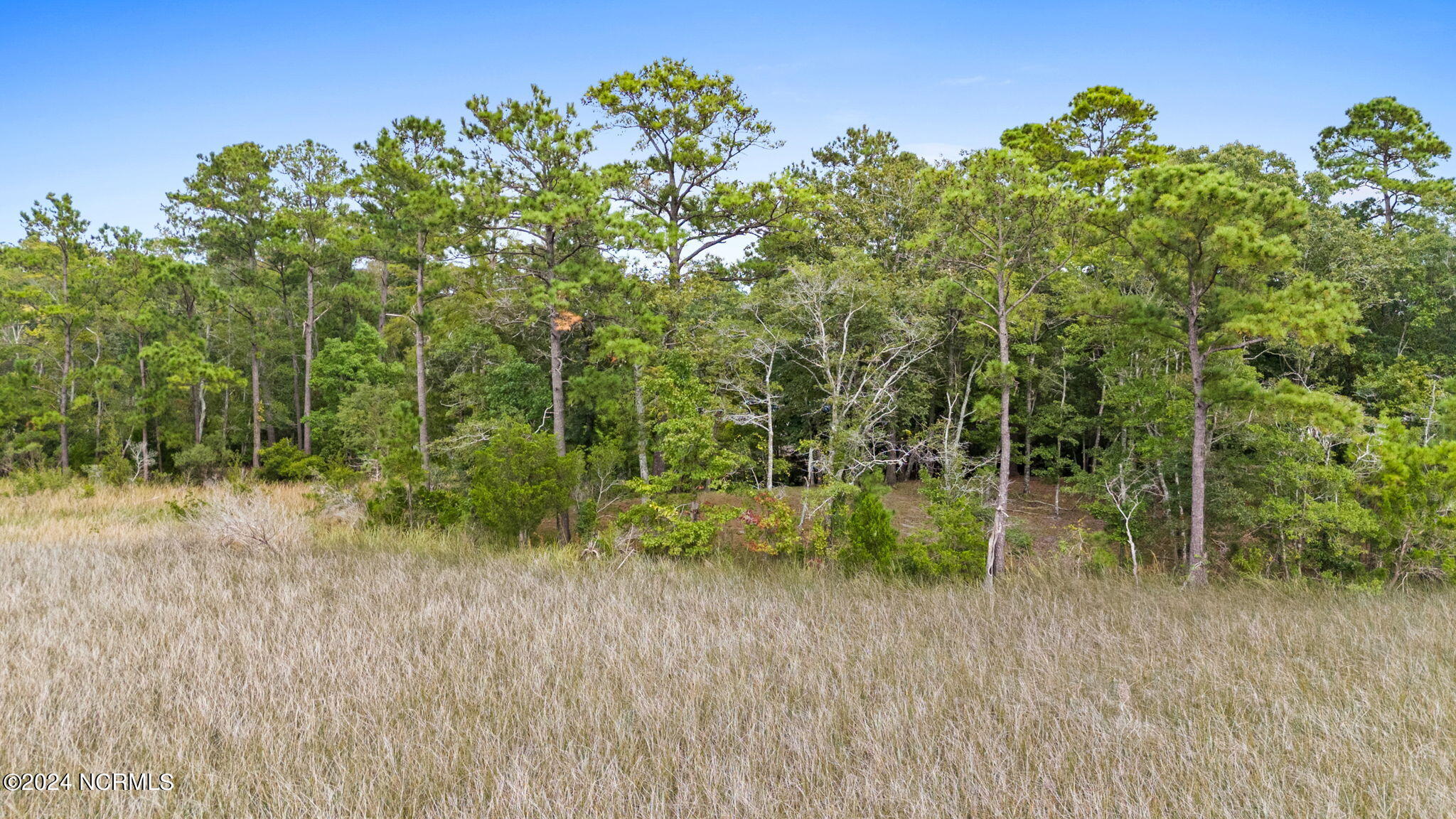 469 Deep Water Drive Property Photo 15
