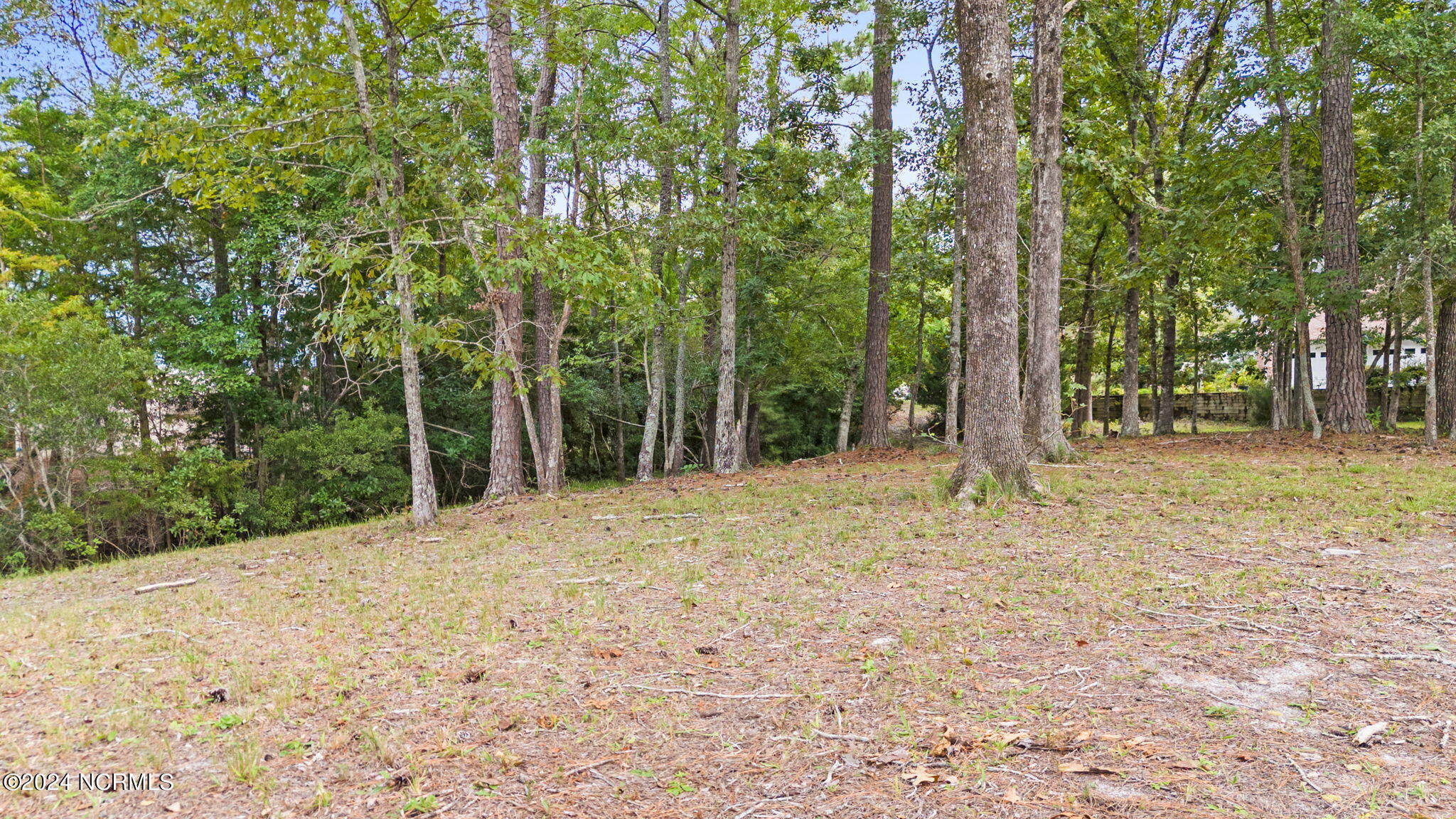469 Deep Water Drive Property Photo 16
