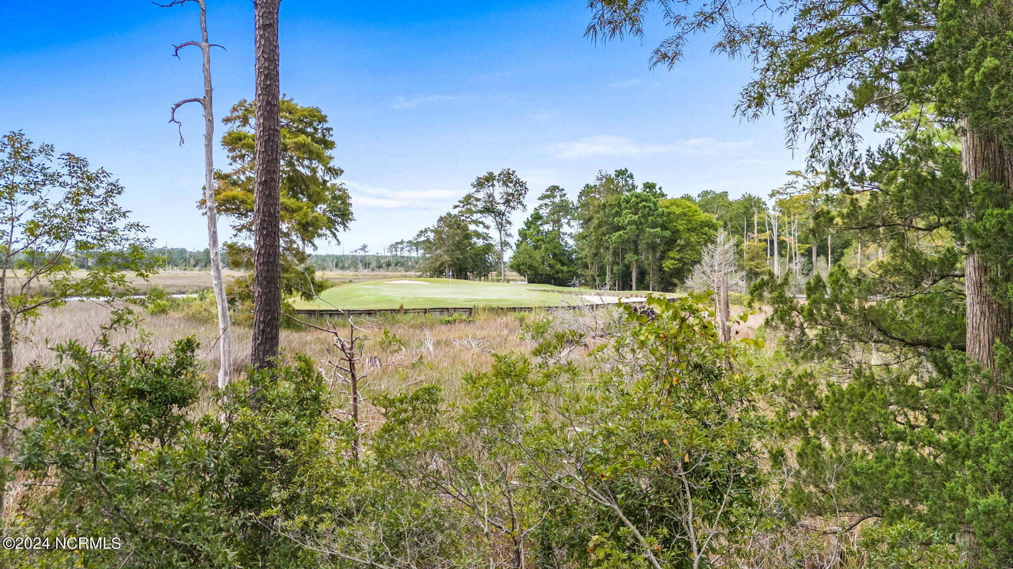469 Deep Water Drive Property Photo 17