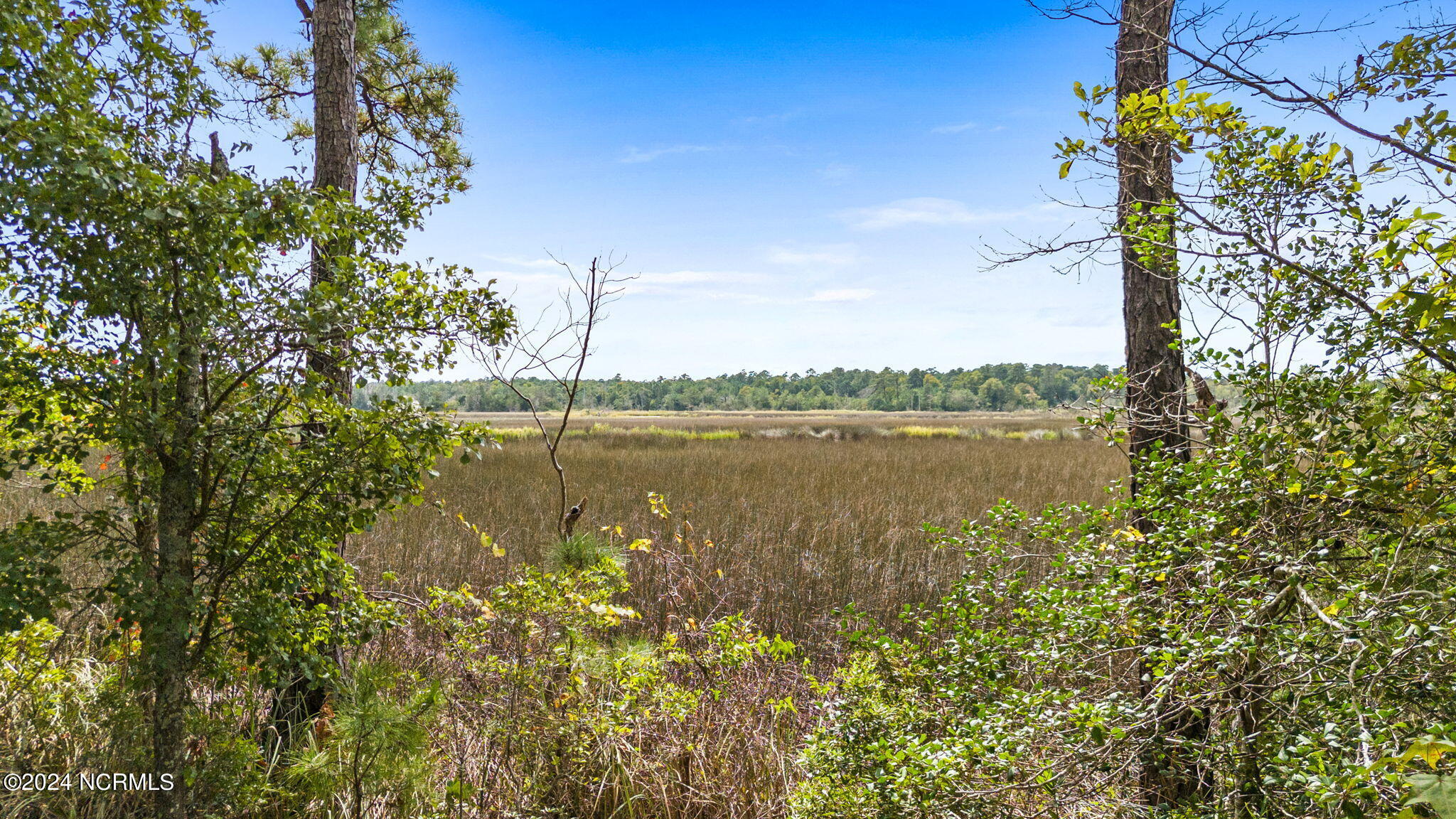 469 Deep Water Drive Property Photo 18