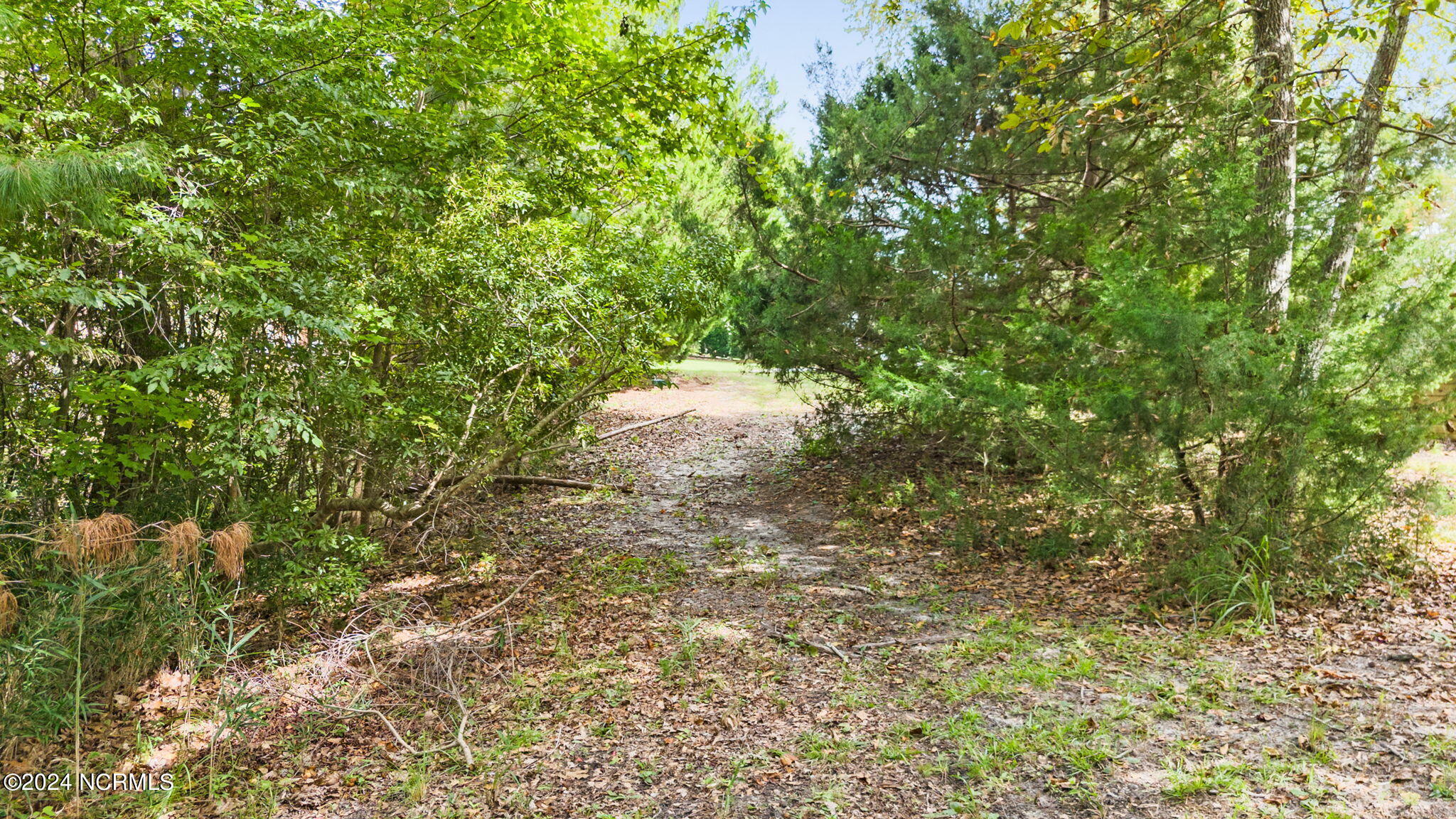 469 Deep Water Drive Property Photo 19