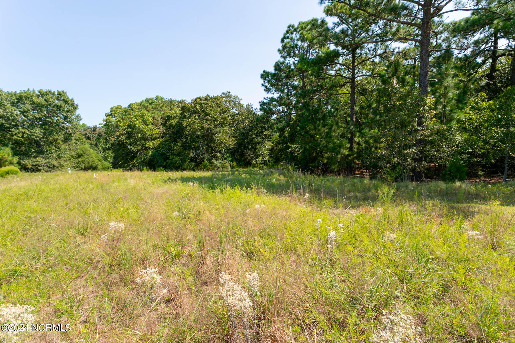 Tbd Bond Street Property Photo 10