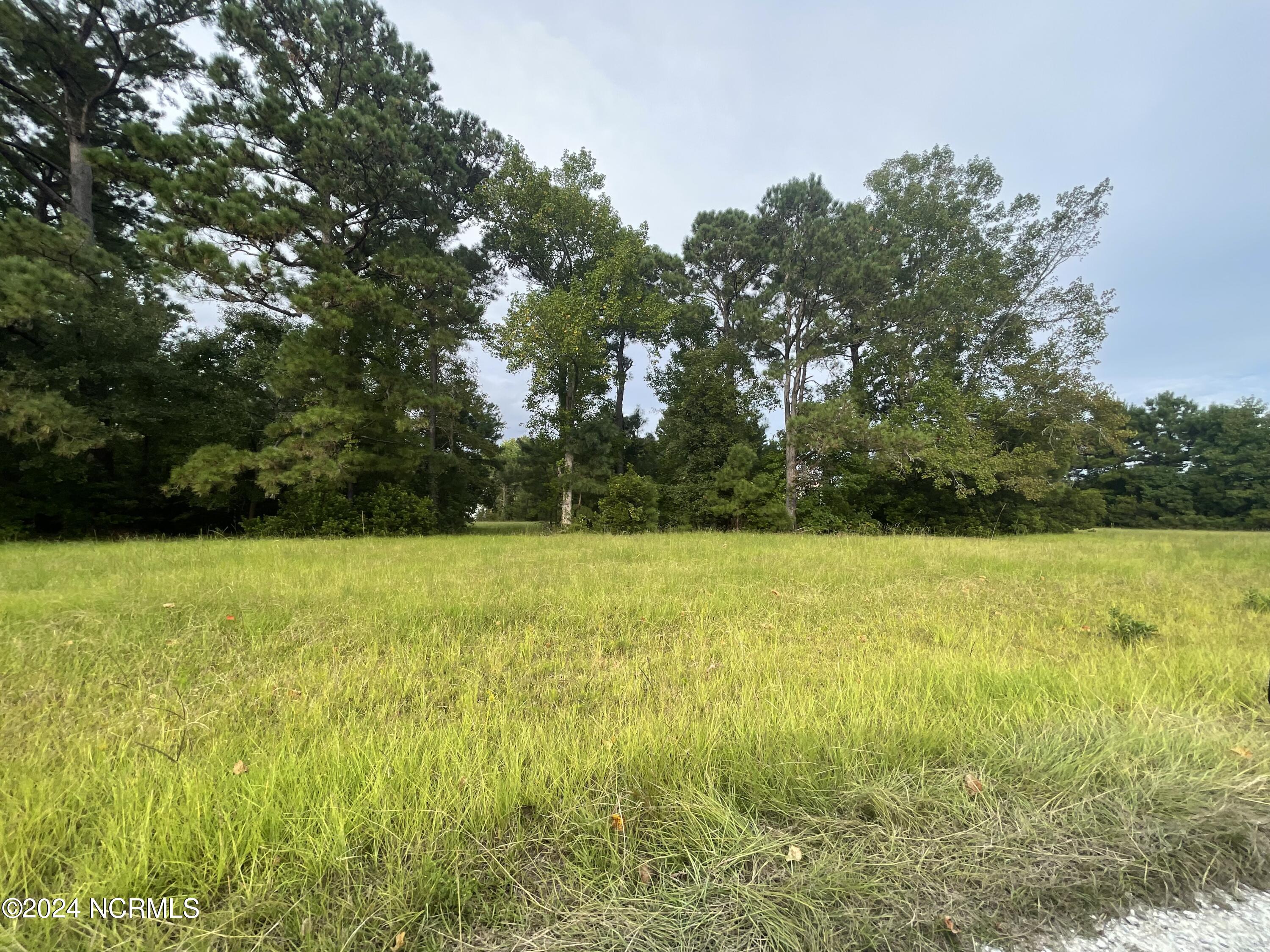Lot 4 Shark Landing Property Photo 4