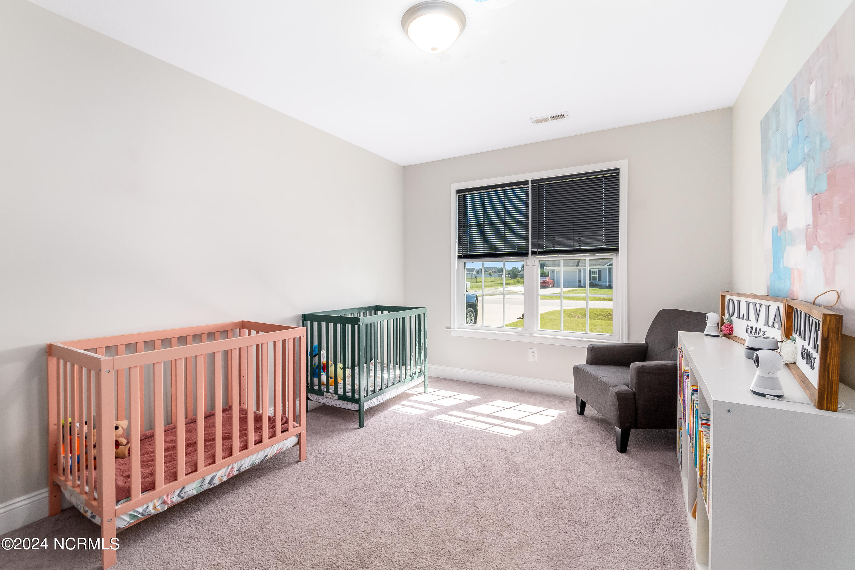 101 Pamlico Drive Property Photo 19