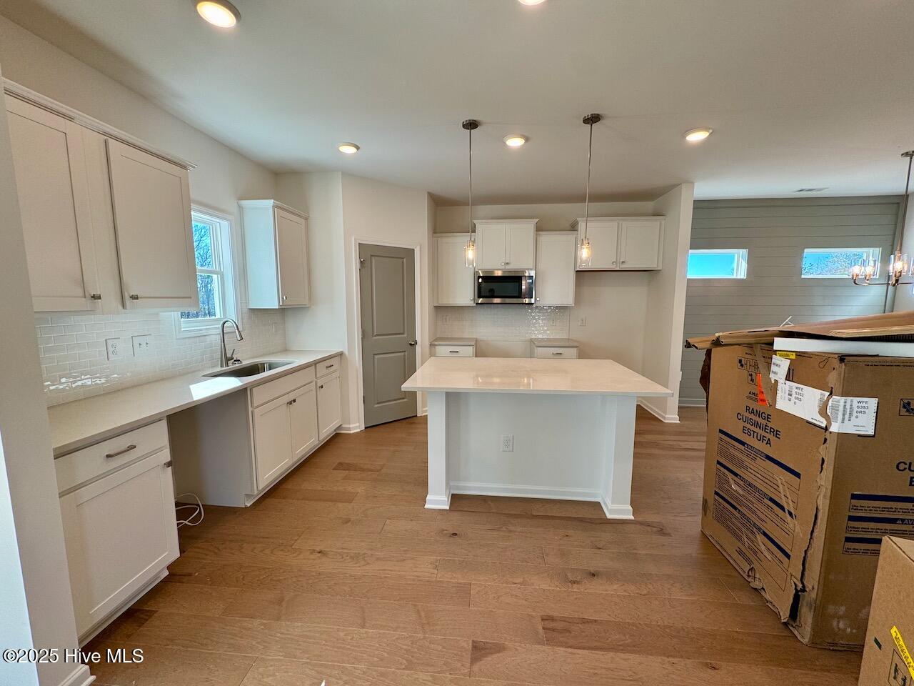 199 Grand Griffon Way Property Photo 16