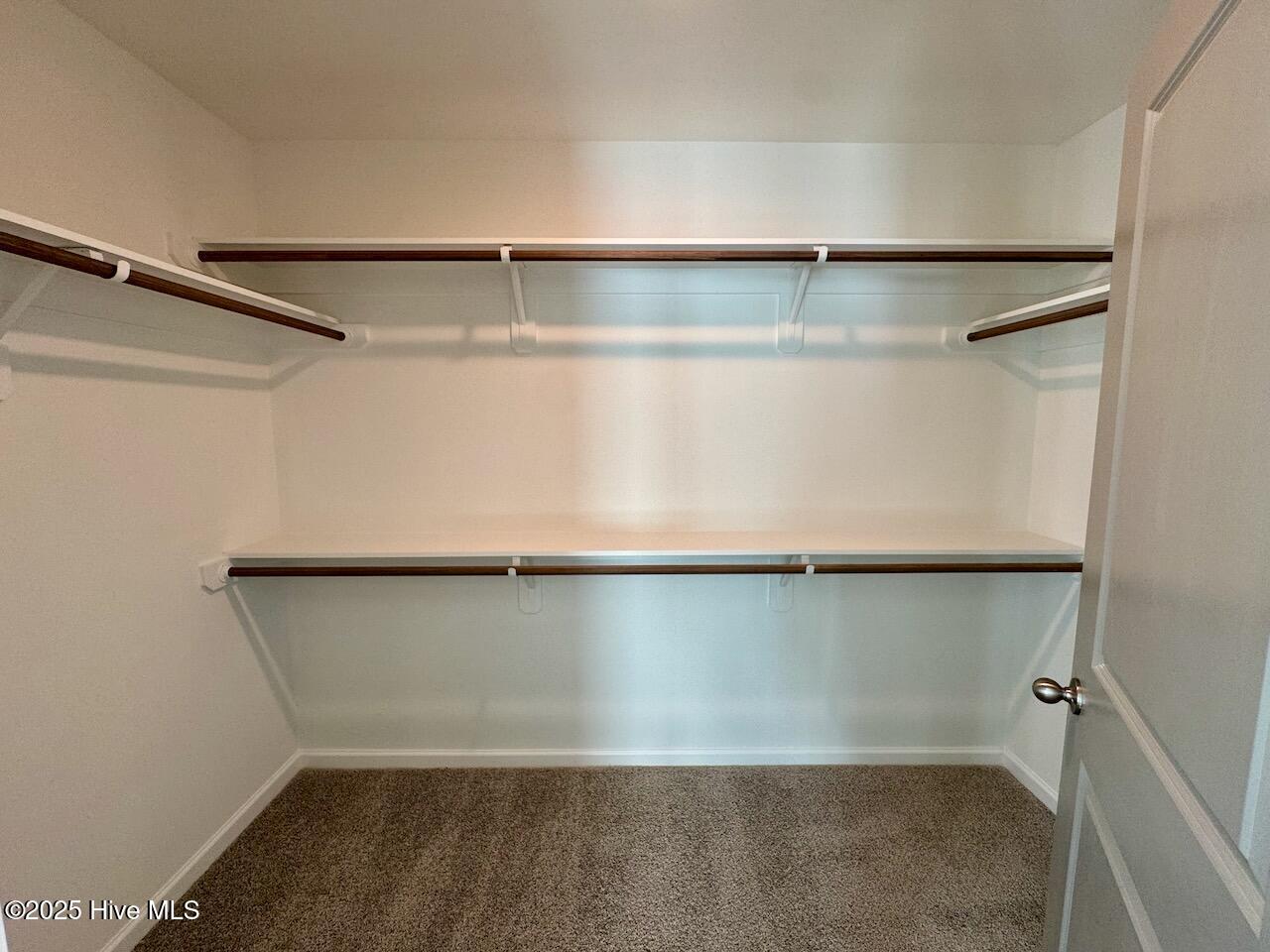199 Grand Griffon Way Property Photo 33