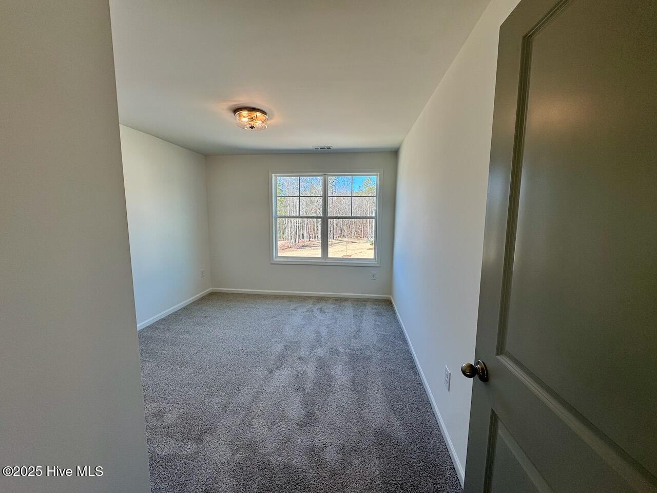 199 Grand Griffon Way Property Photo 46