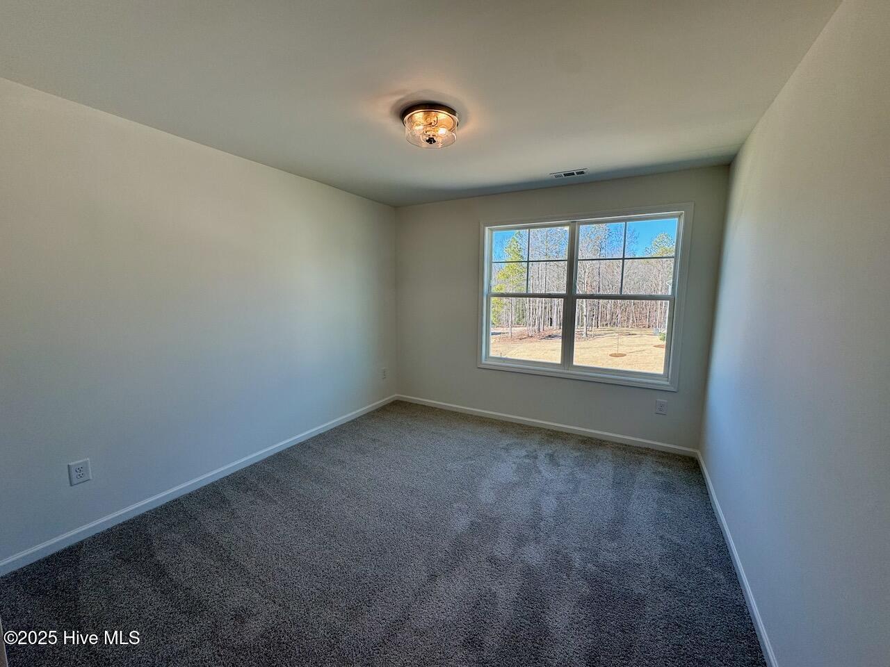 199 Grand Griffon Way Property Photo 47