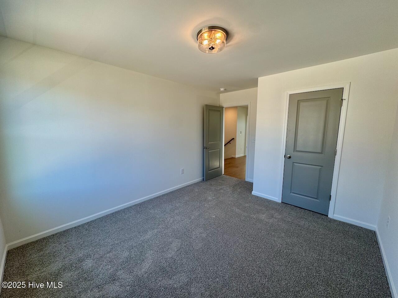 199 Grand Griffon Way Property Photo 48