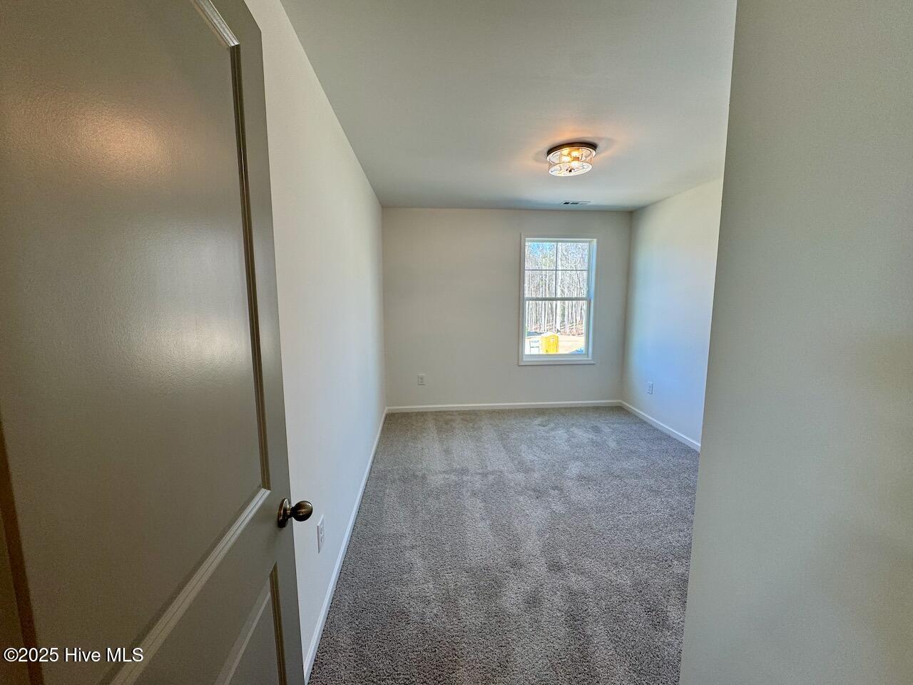 199 Grand Griffon Way Property Photo 51