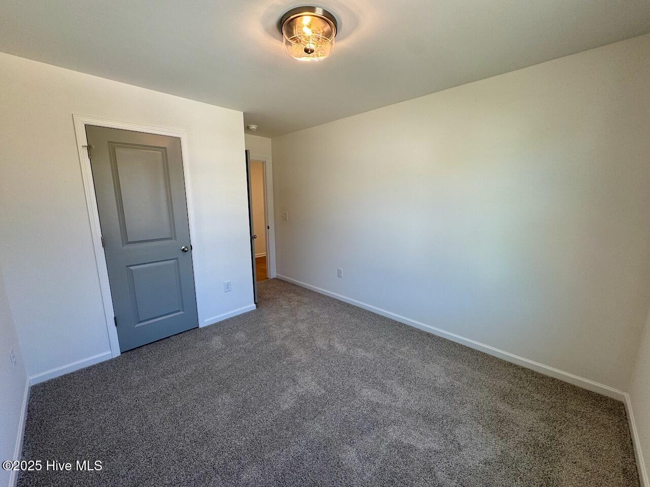 199 Grand Griffon Way Property Photo 59