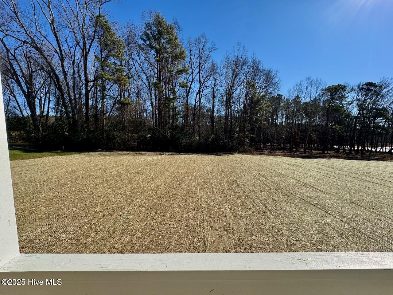 199 Grand Griffon Way Property Photo 74