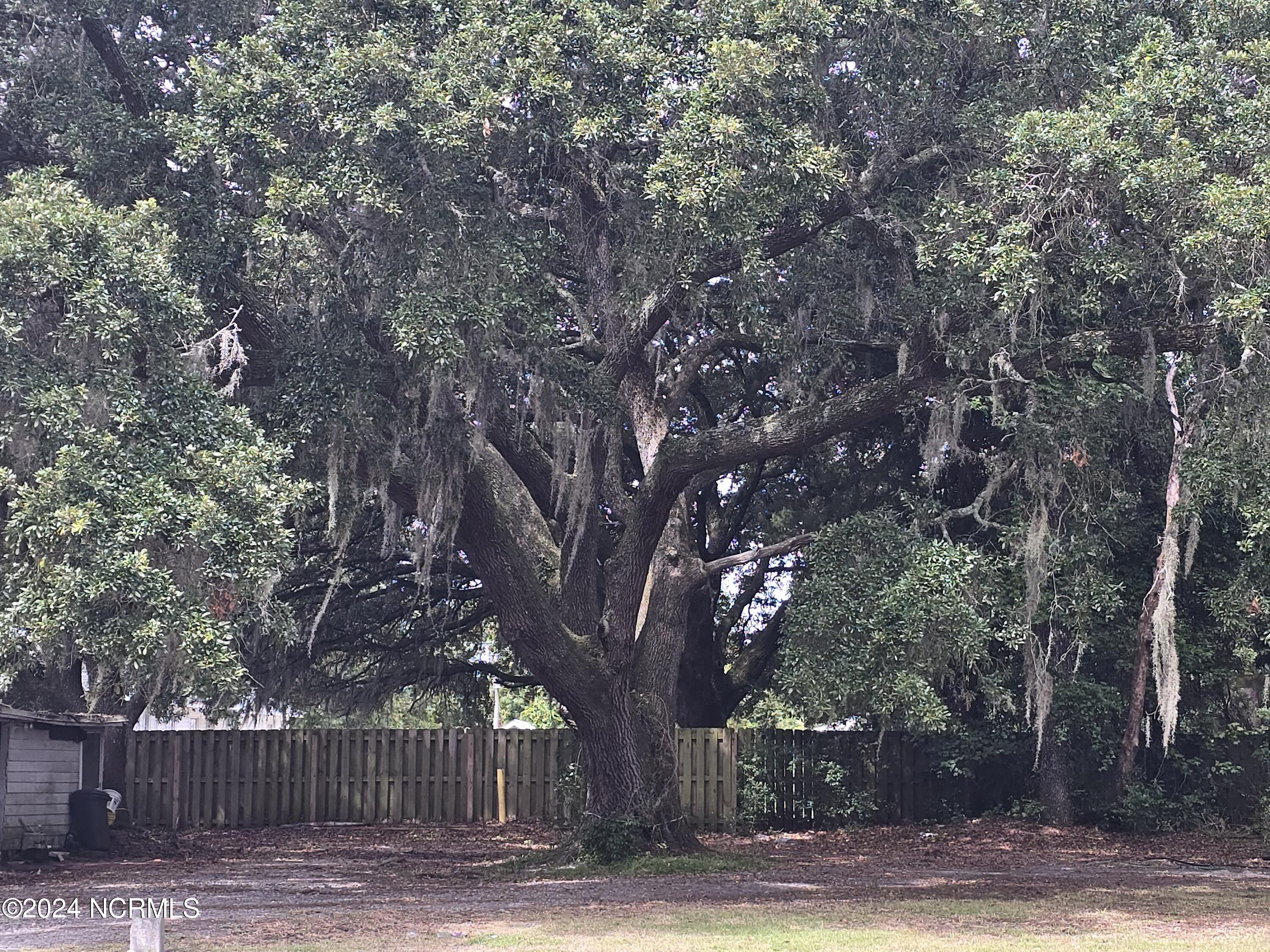 633 Piner Road Property Photo 18