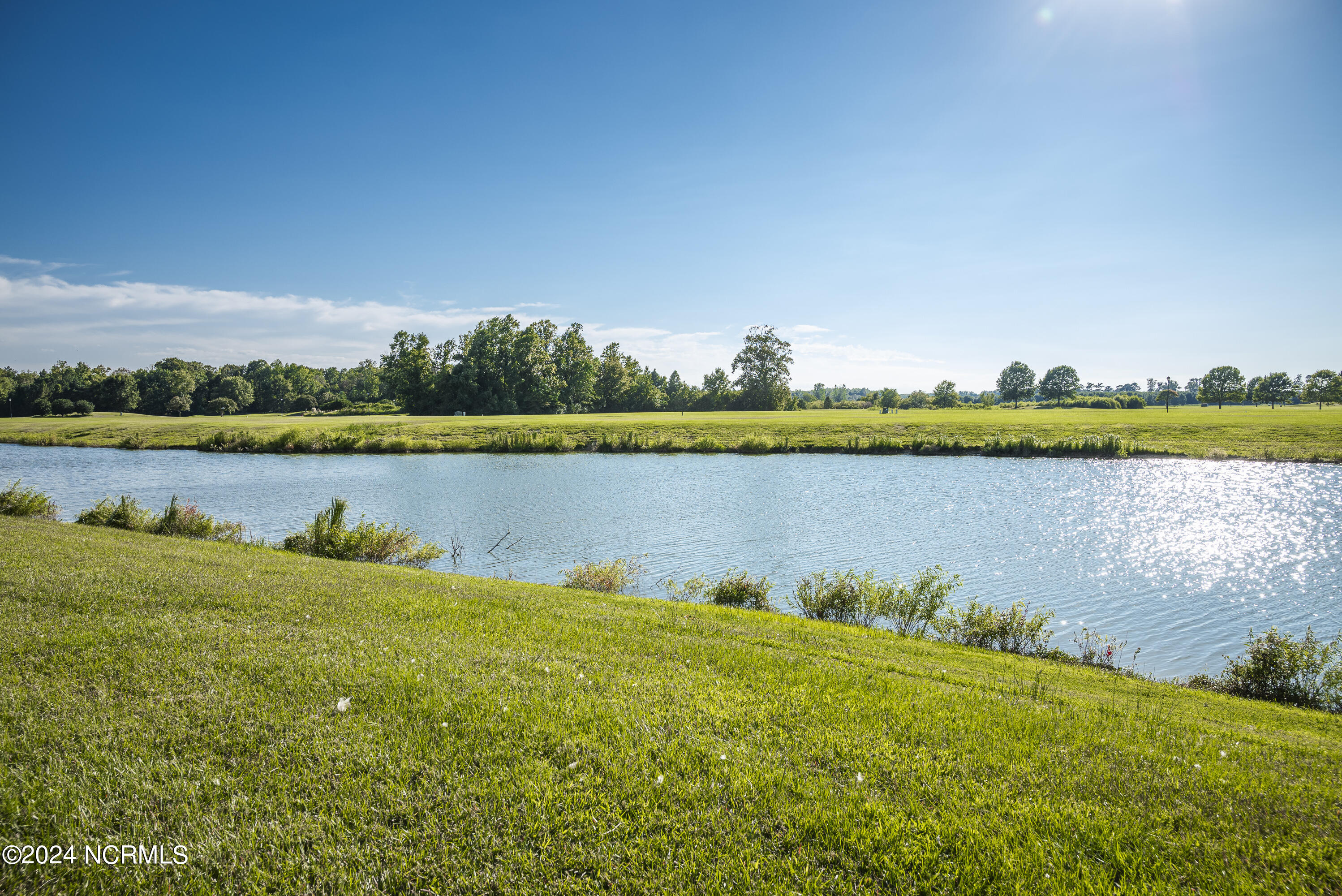 202 Majestic Circle Property Photo 5