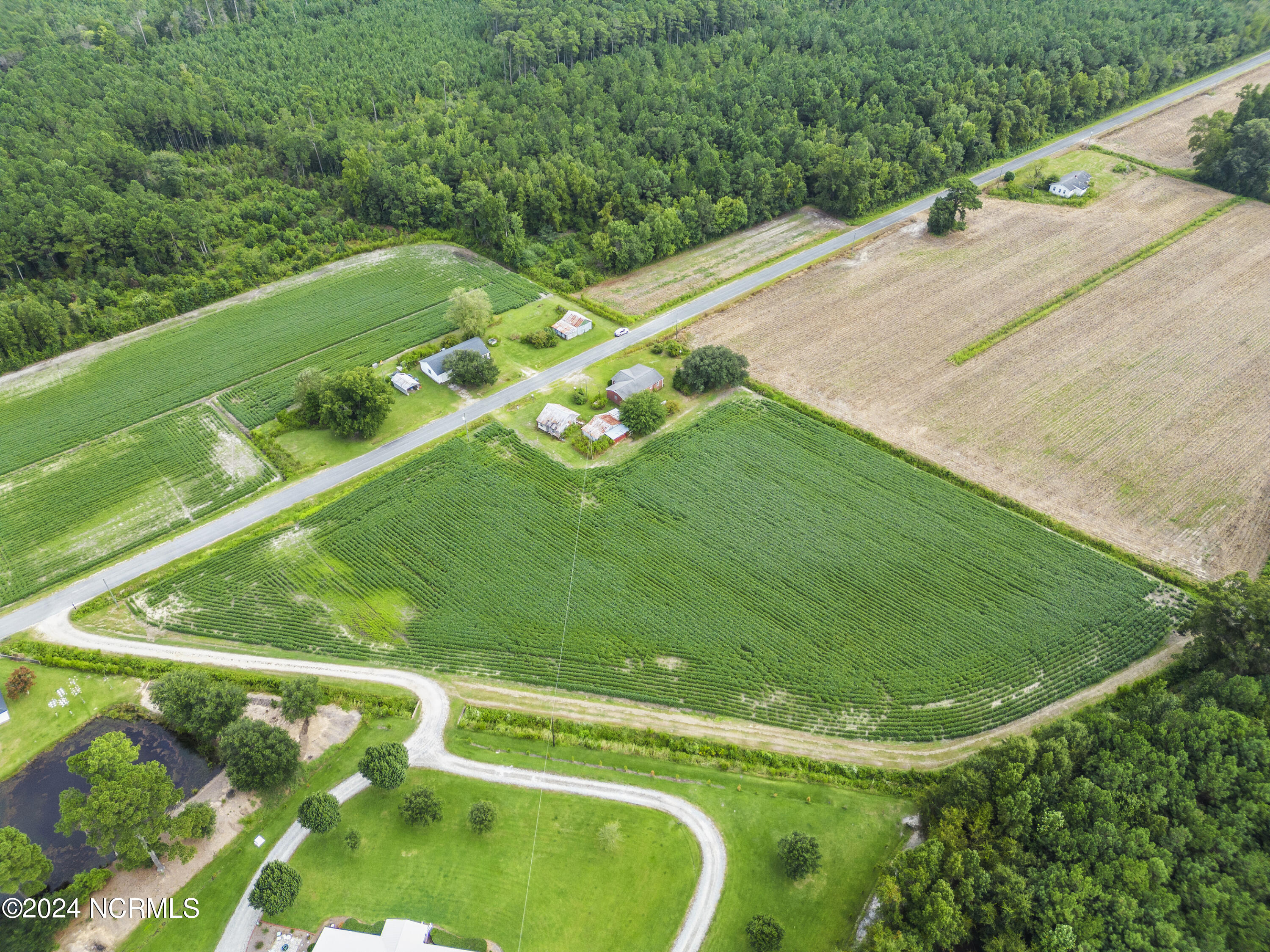 213 Mutt Griffin Road Property Photo 7