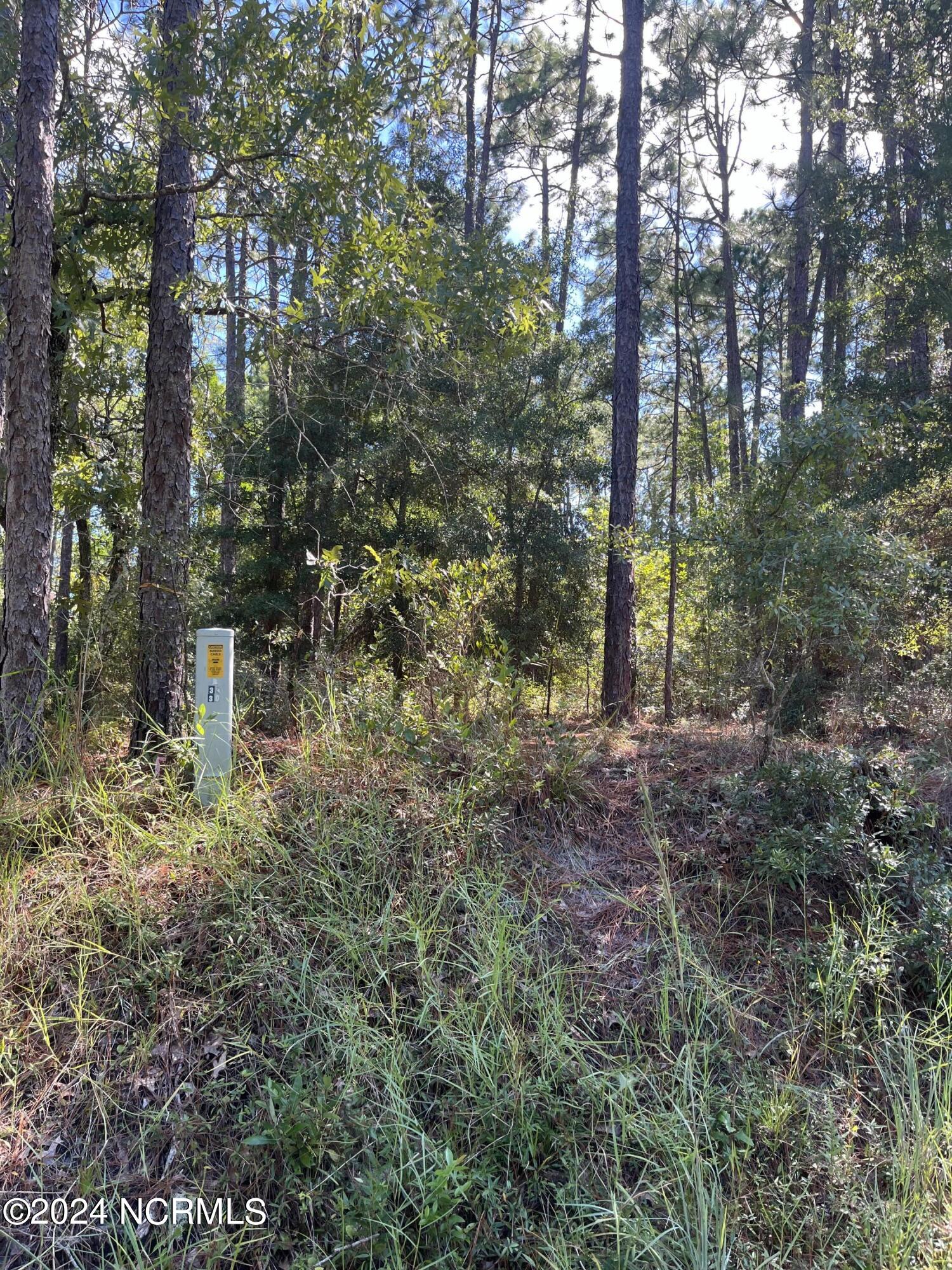 1551 Tuscarora Drive Property Photo 2