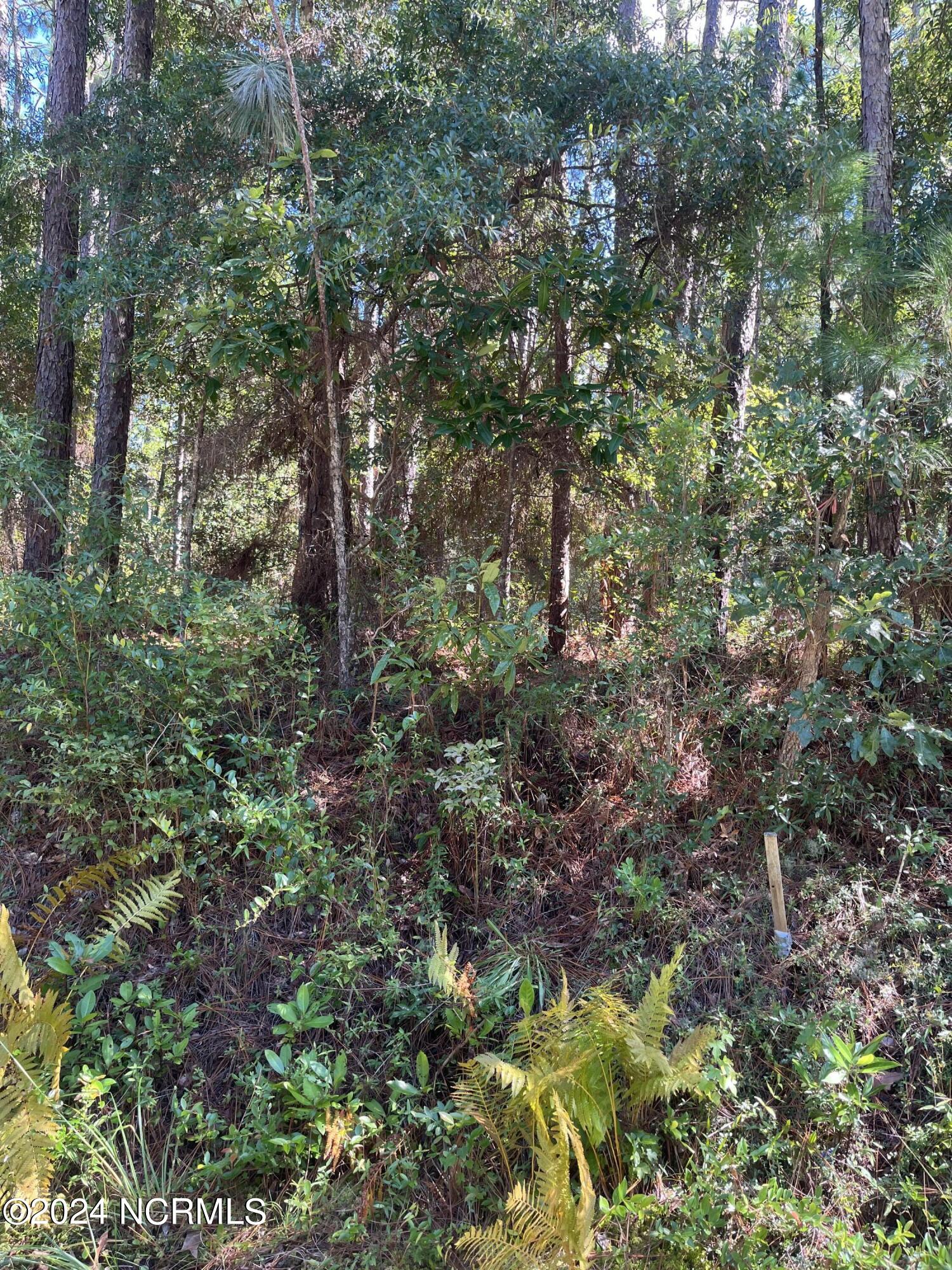 1551 Tuscarora Drive Property Photo 3