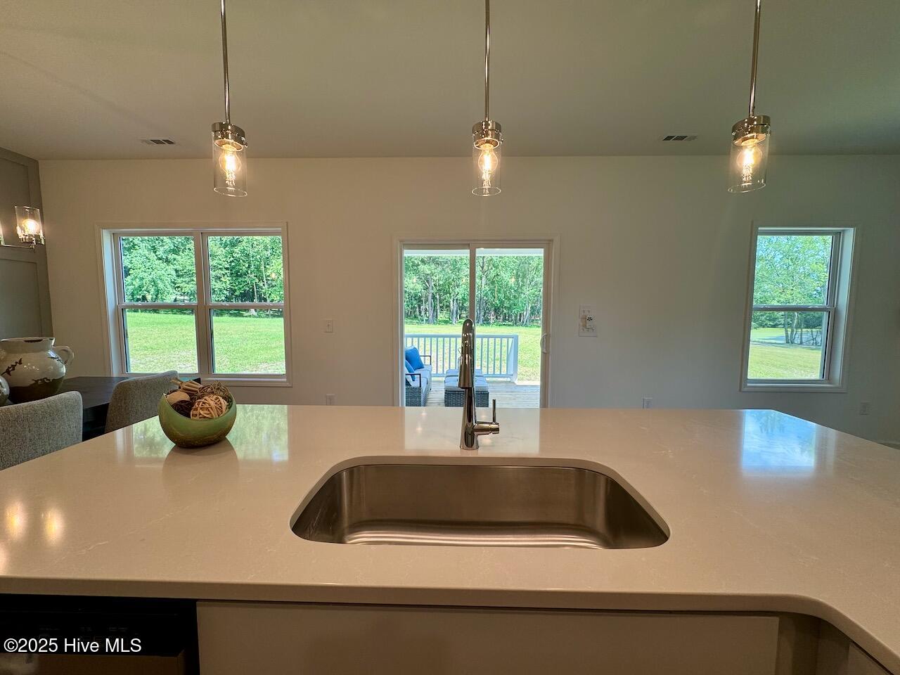235 Grand Griffon Way Property Photo 12