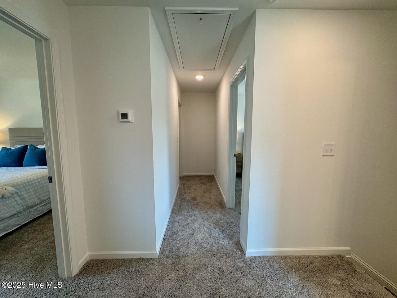 235 Grand Griffon Way Property Photo 22
