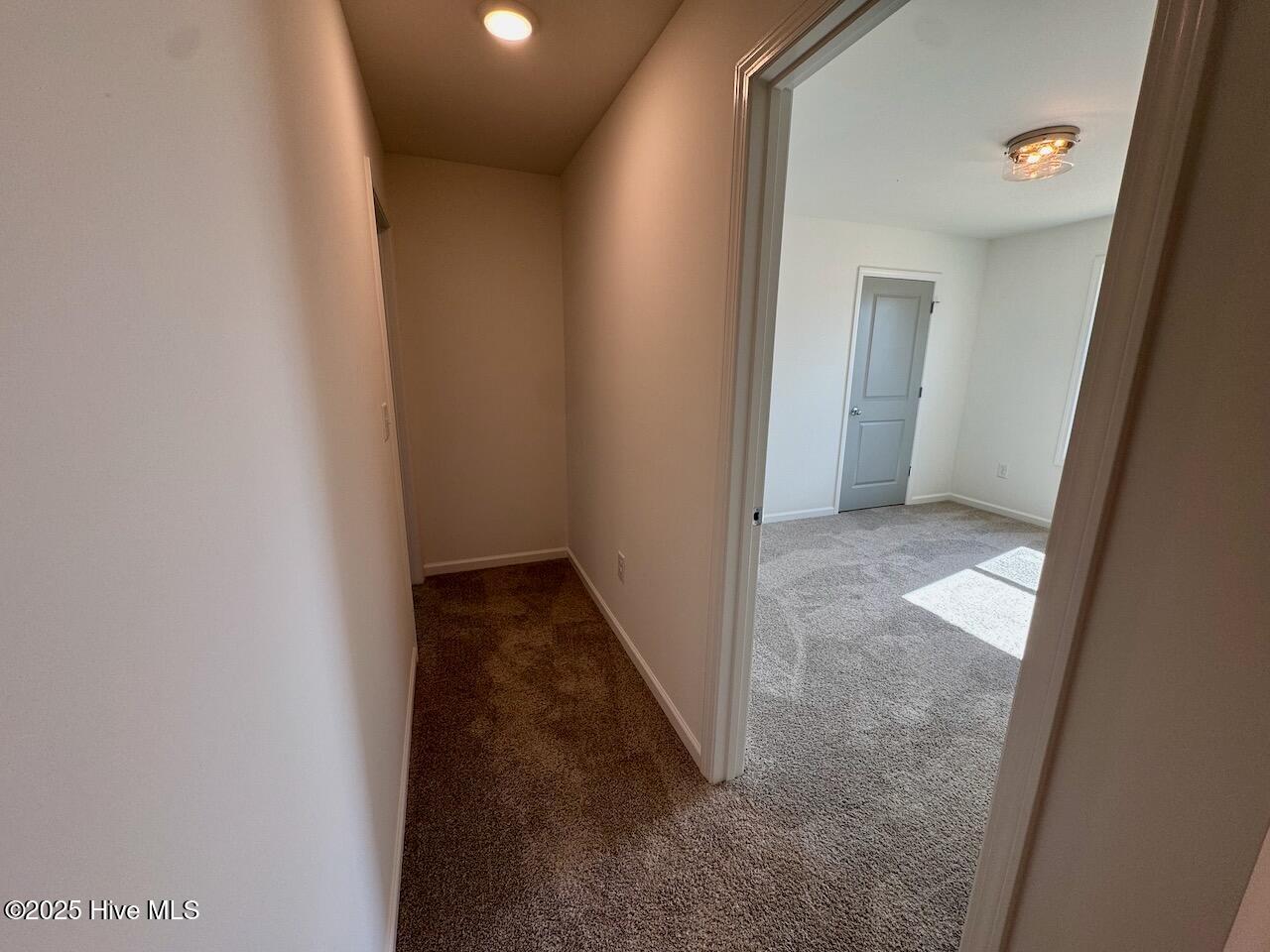 235 Grand Griffon Way Property Photo 64