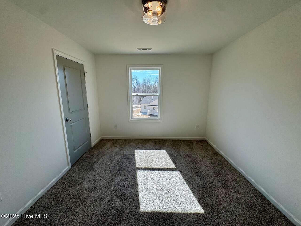 235 Grand Griffon Way Property Photo 65