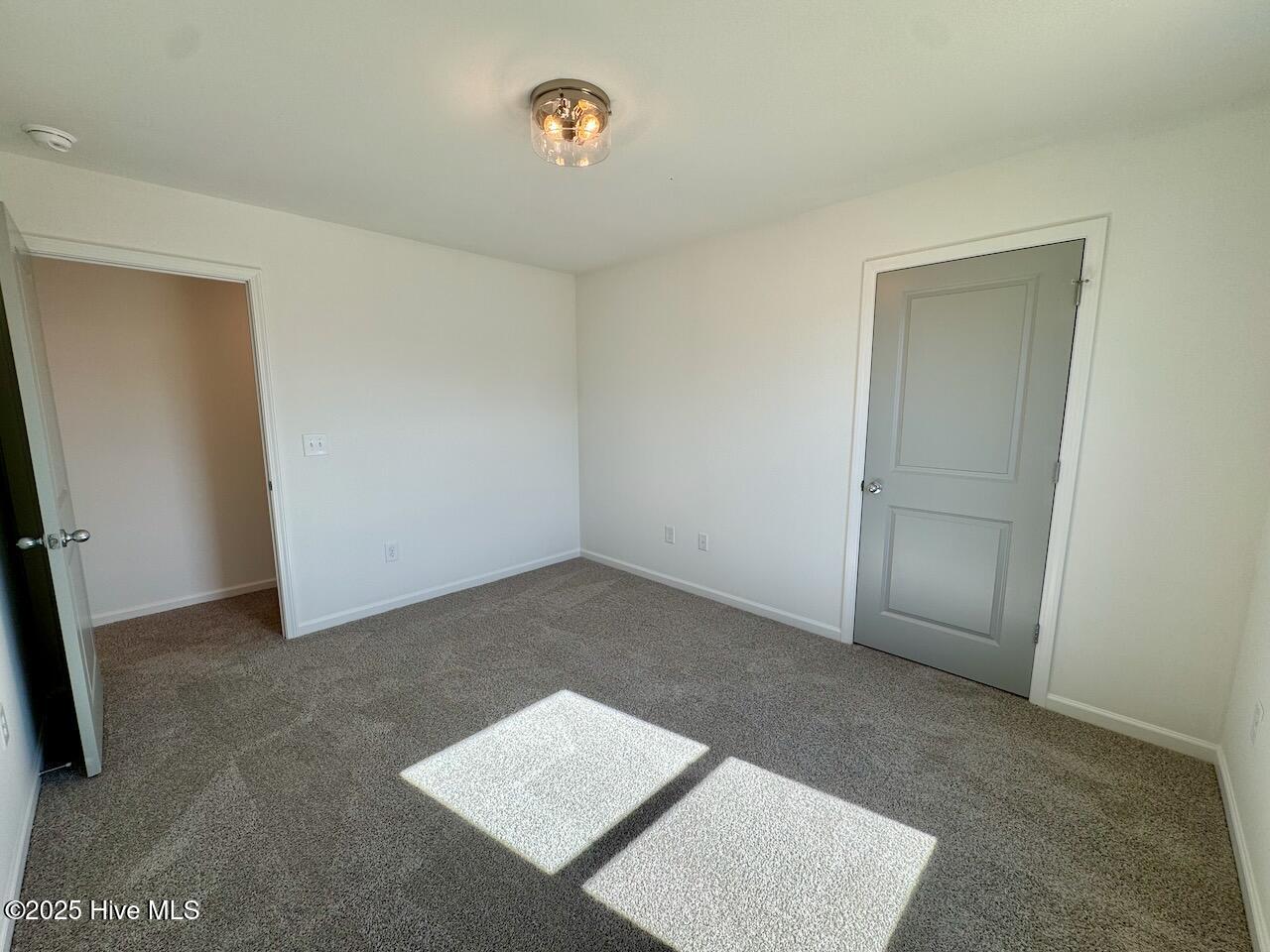 235 Grand Griffon Way Property Photo 67