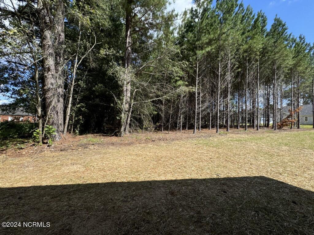 1005 Sunnybrook Road Property Photo 18