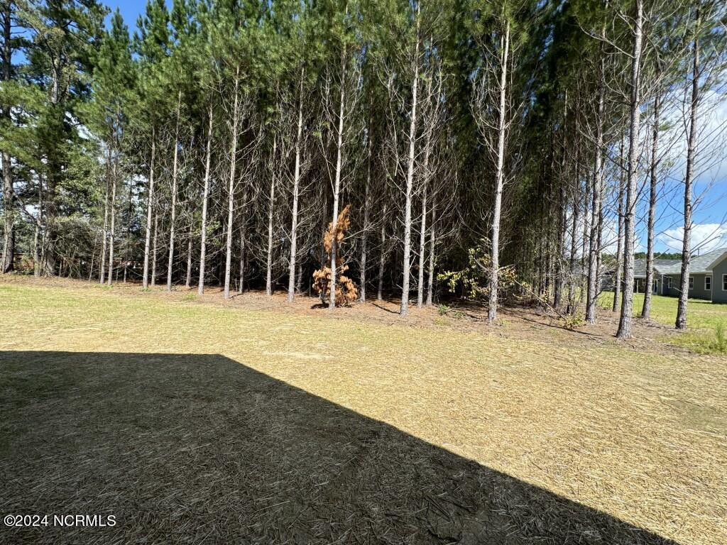 1009 Sunnybrook Road Property Photo 20