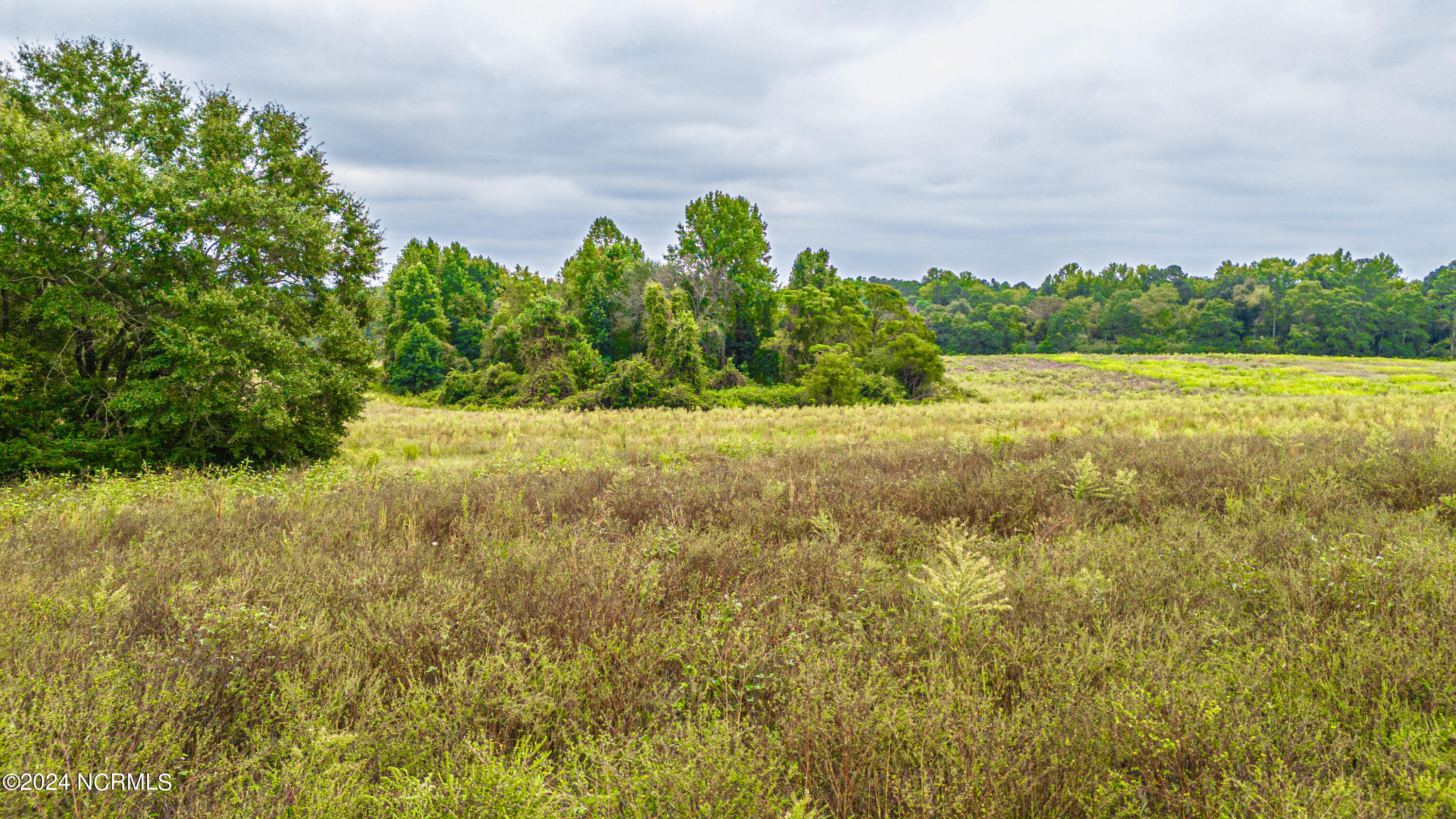 1099 Ring Road Property Photo 8