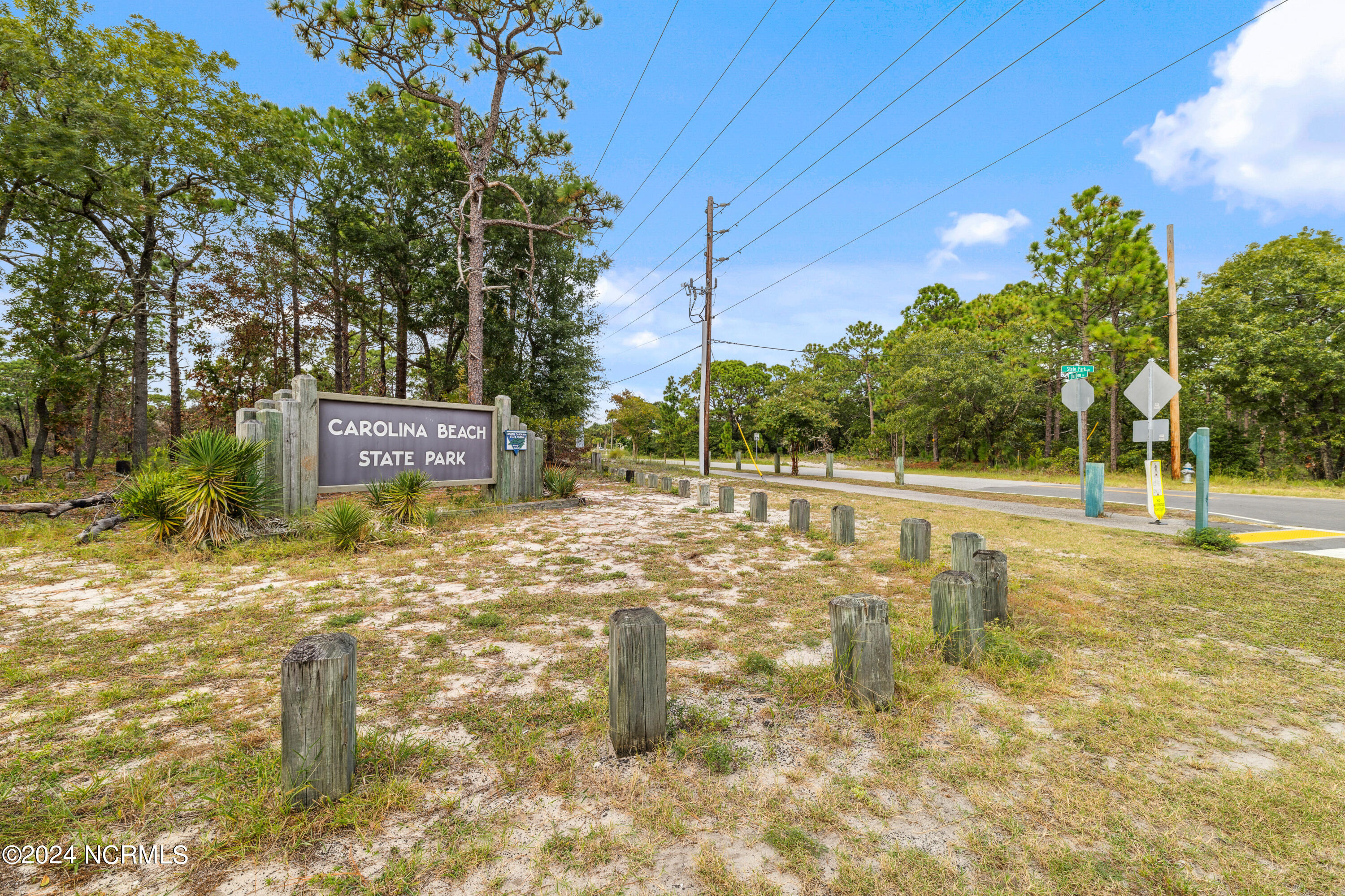 910 Old Dow Road Property Photo 40