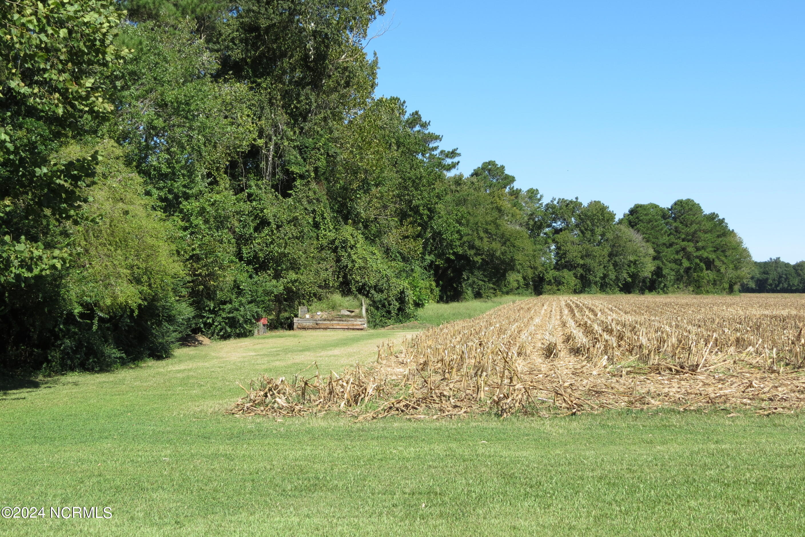5926 Kershaw Road Property Photo 20