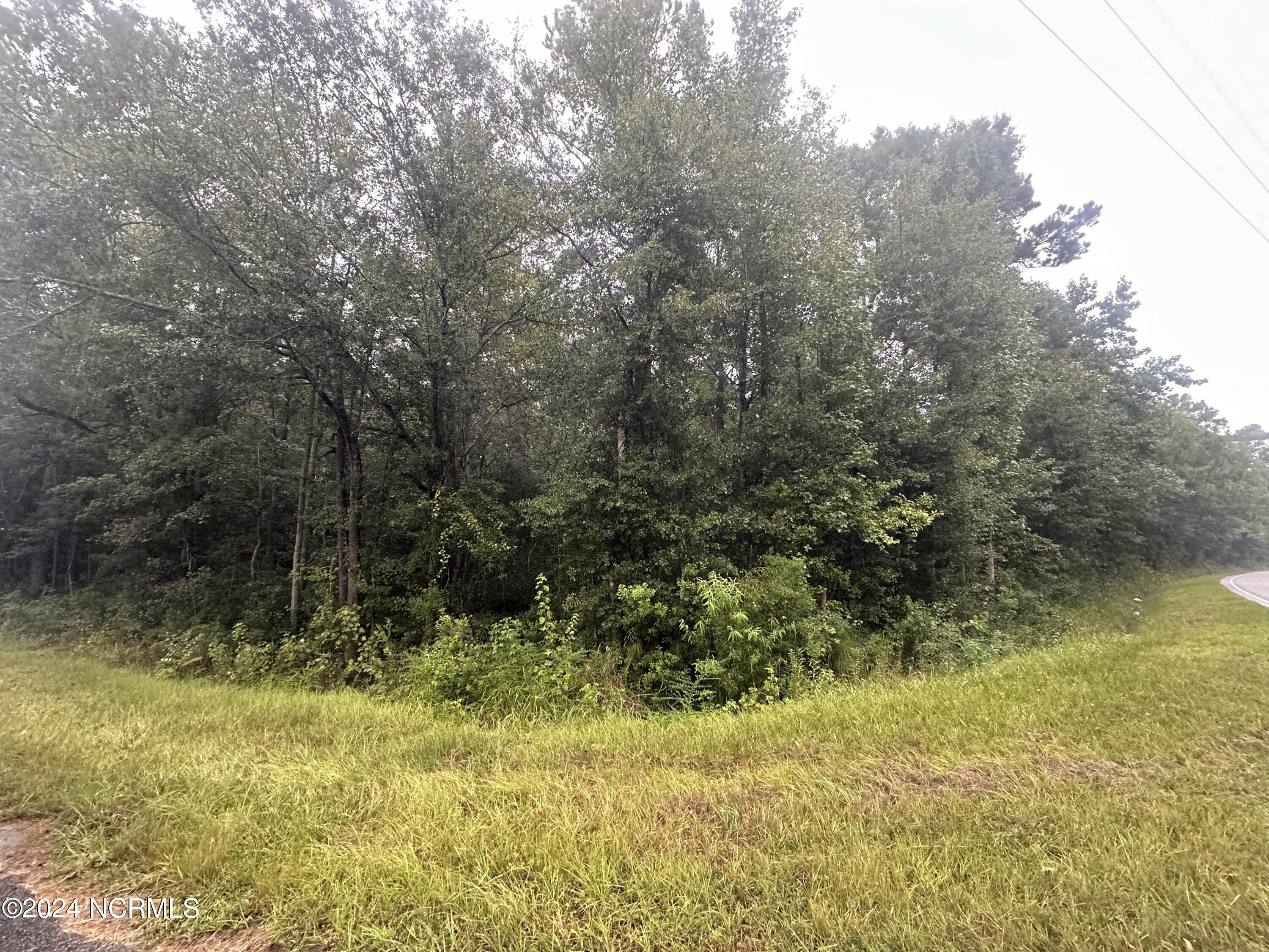 Tbd Ash Little River Road Property Photo 4